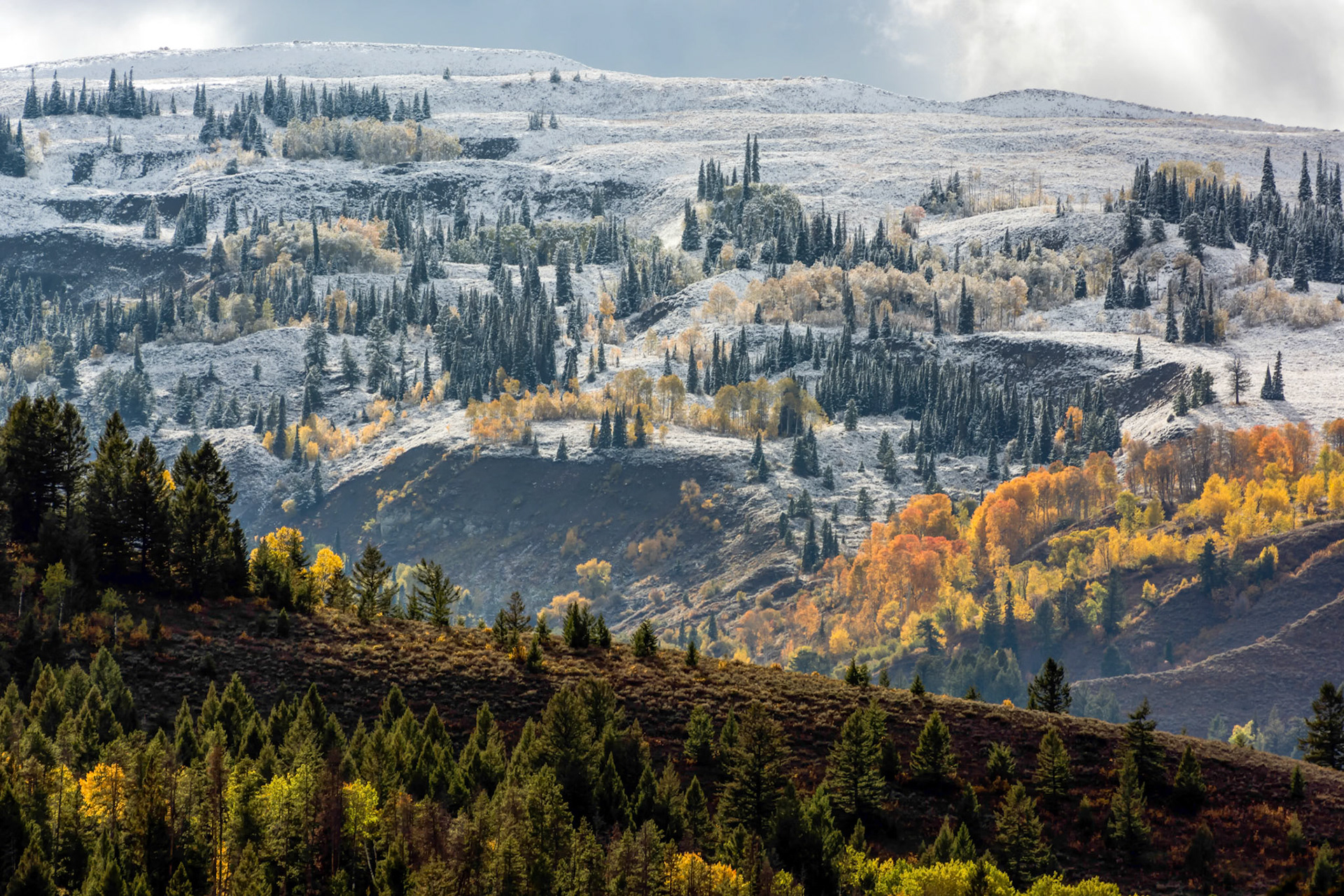 Autumn Colours in Wyoming