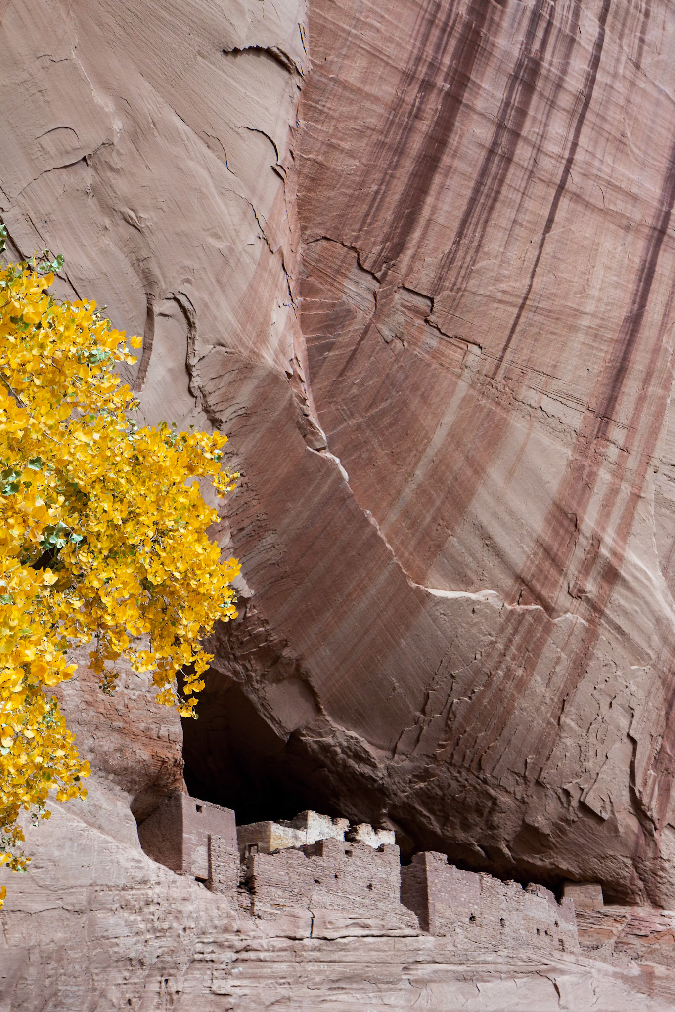 The White House Canyon de Chelly