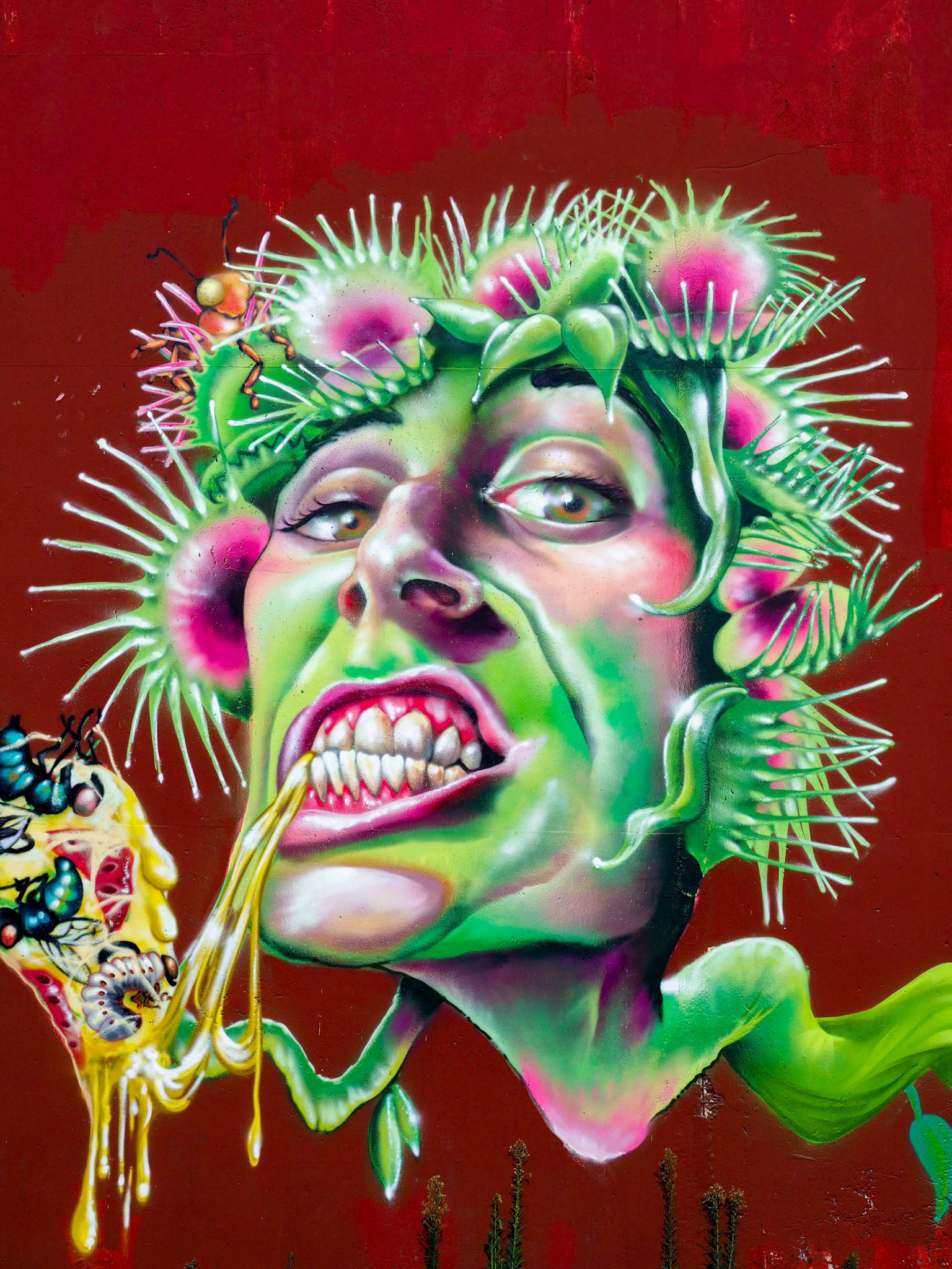 Graffiti on a Wall in Bordeaux