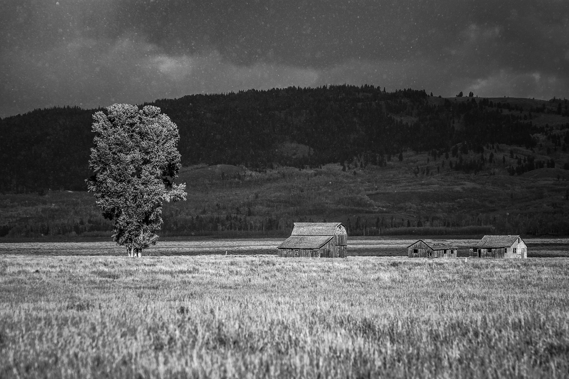 View of Mormon Row near Jackson