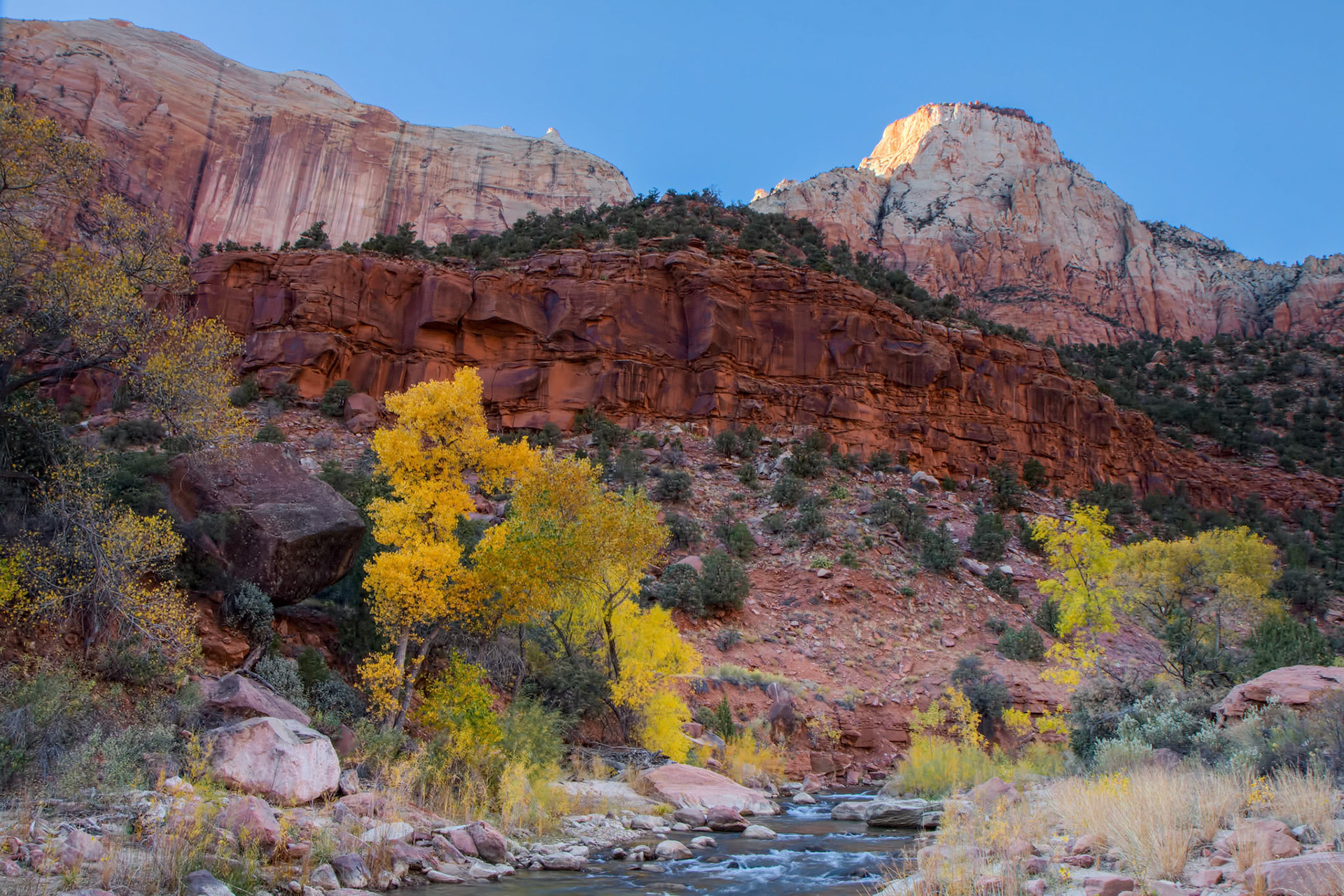 Autumn in Zion