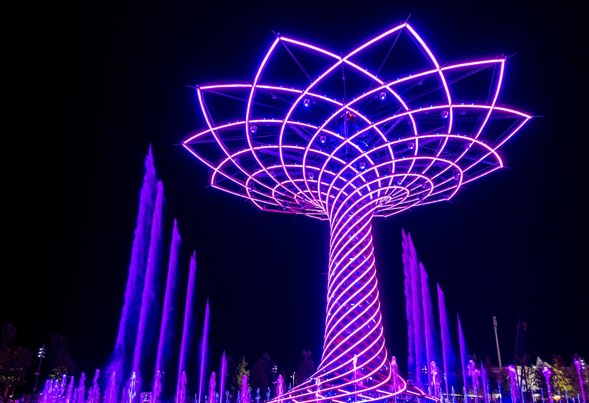 Tree of Life at Expo in Milan Italy