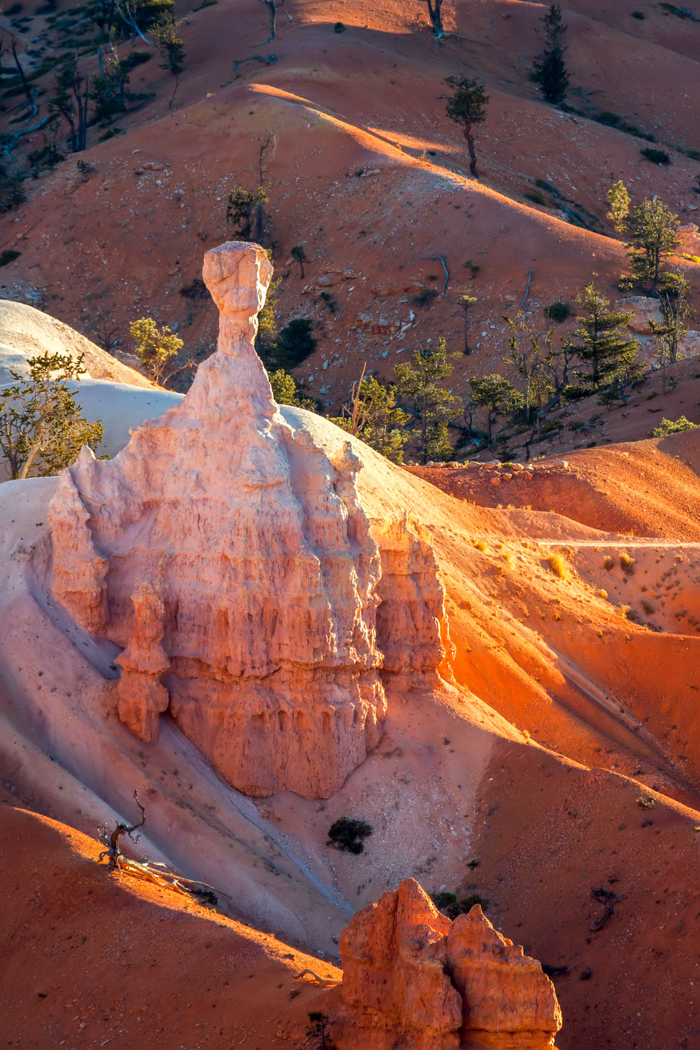 Dawn Light Illuminating an Unusual Hoodoo in Bryce Canyon