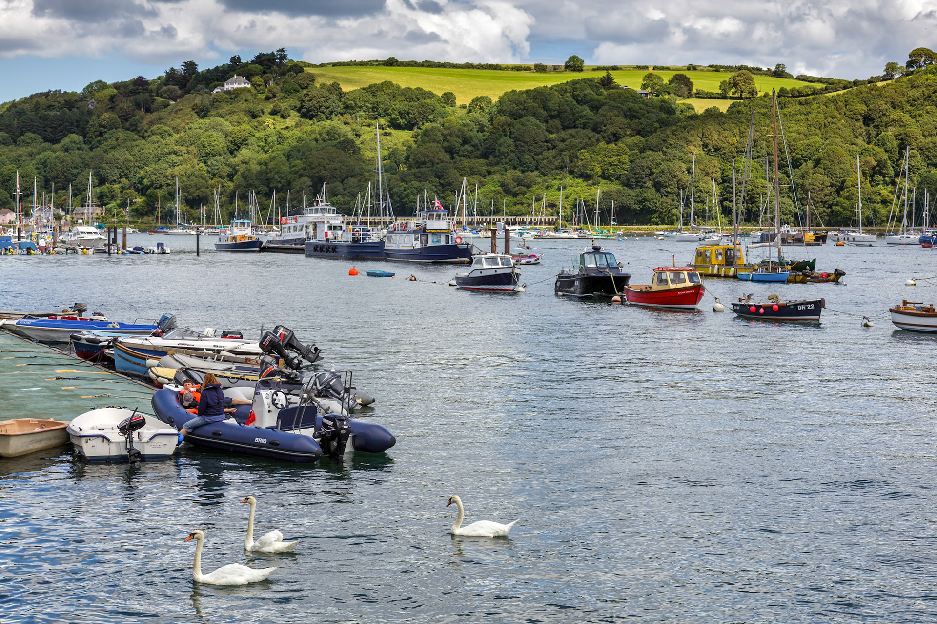 Scenic View up the River Dart