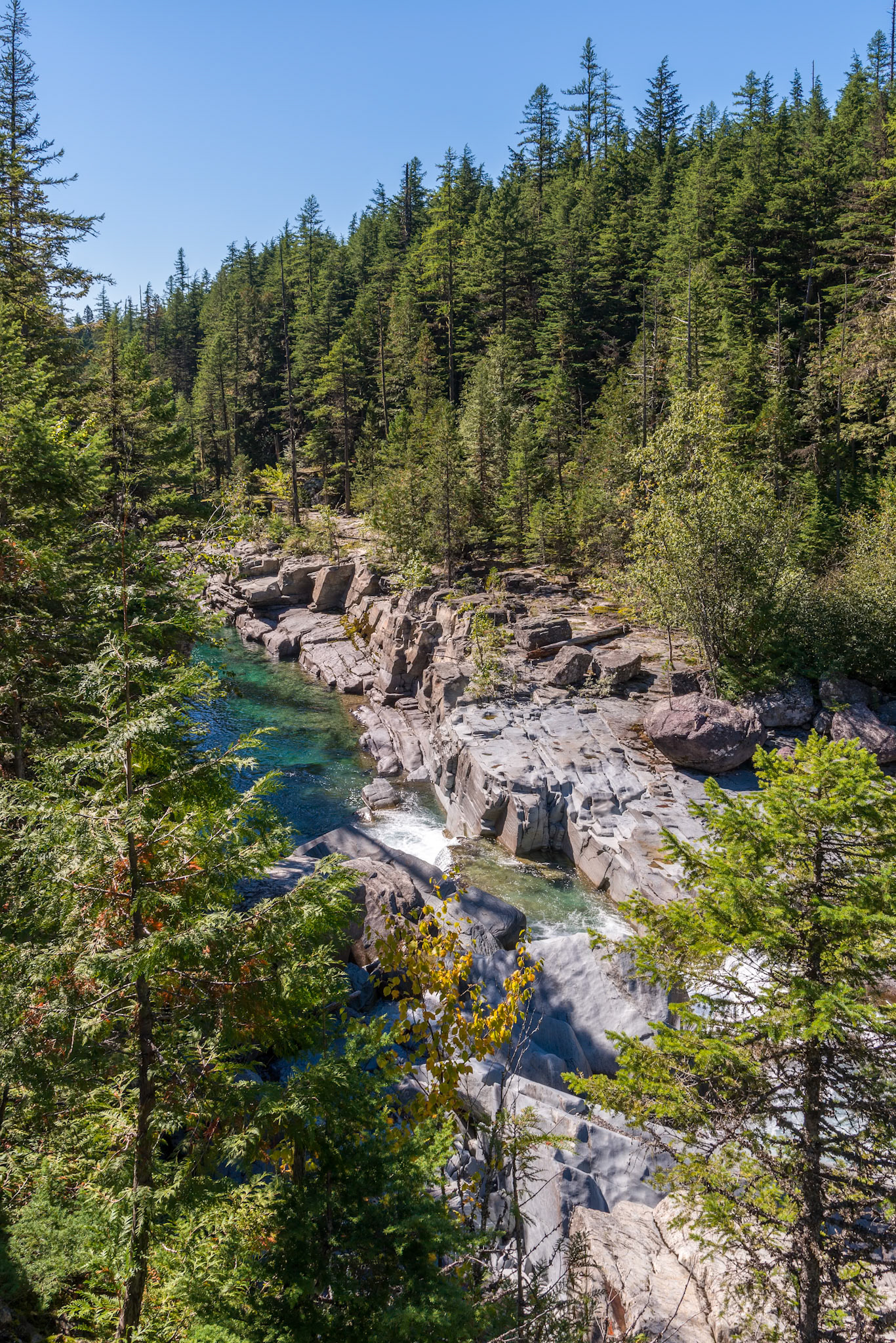View of McDonald Creek in Glacier National Park Montana USA