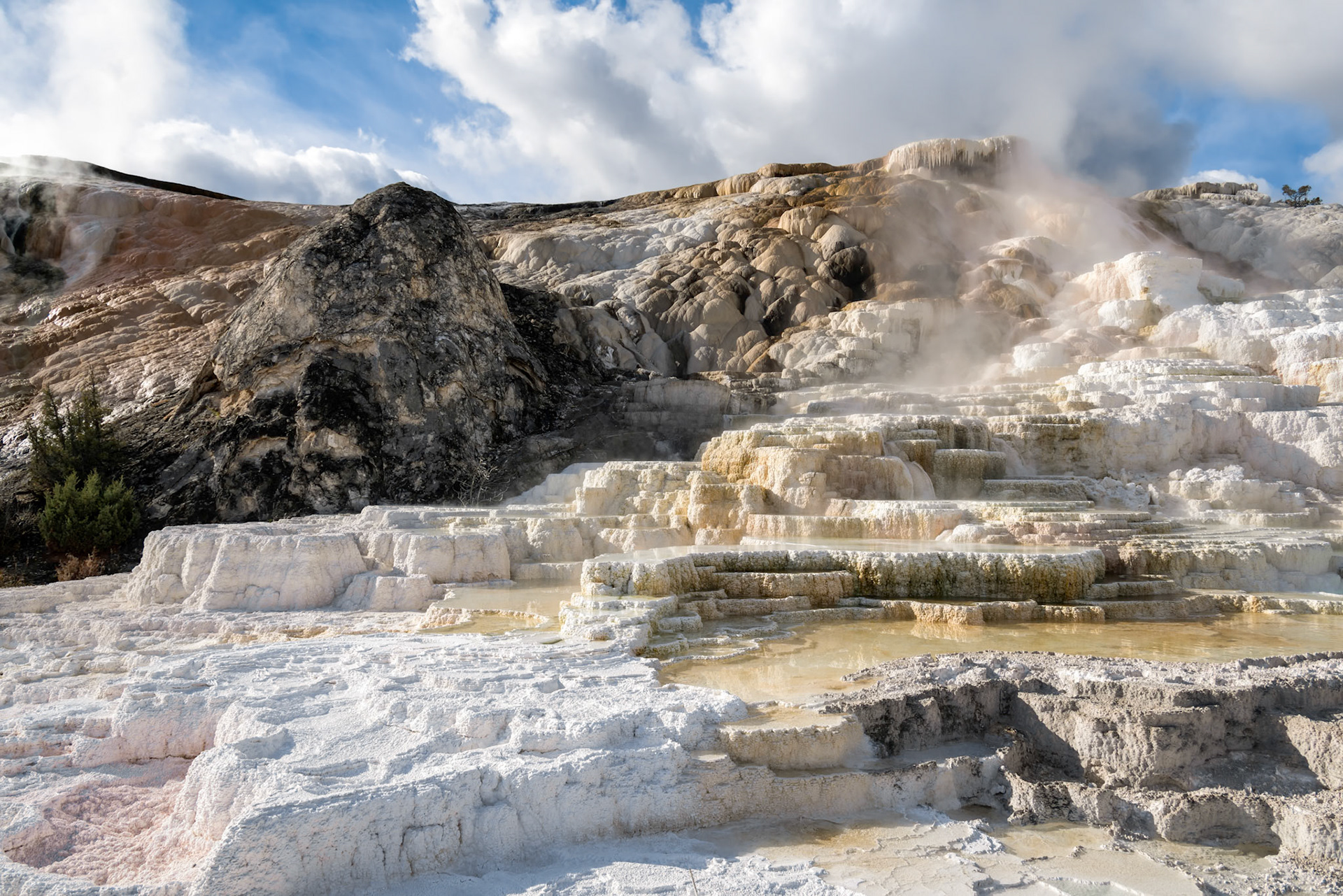 Mammoth Hot Springs