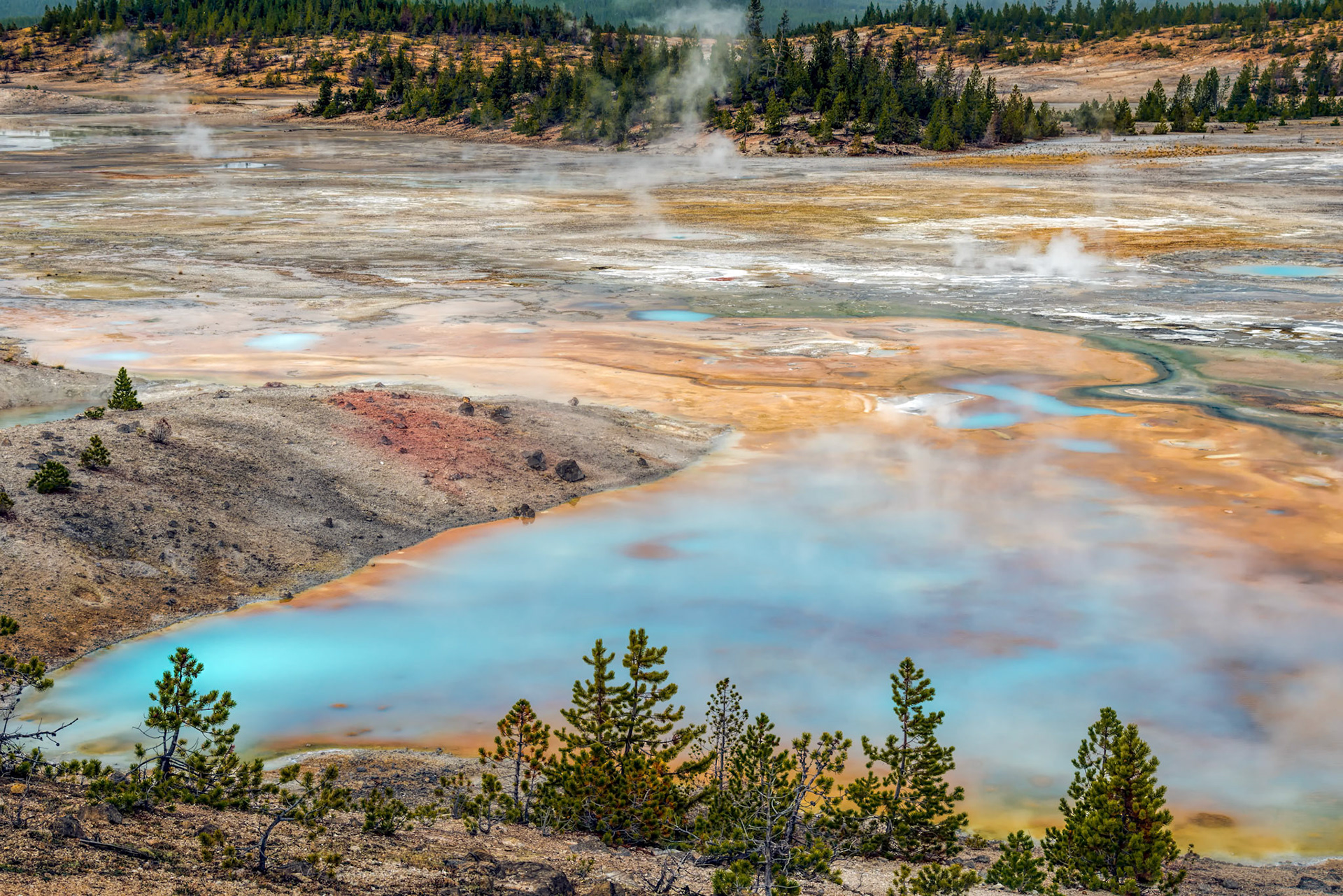 Norris Geyser Basin