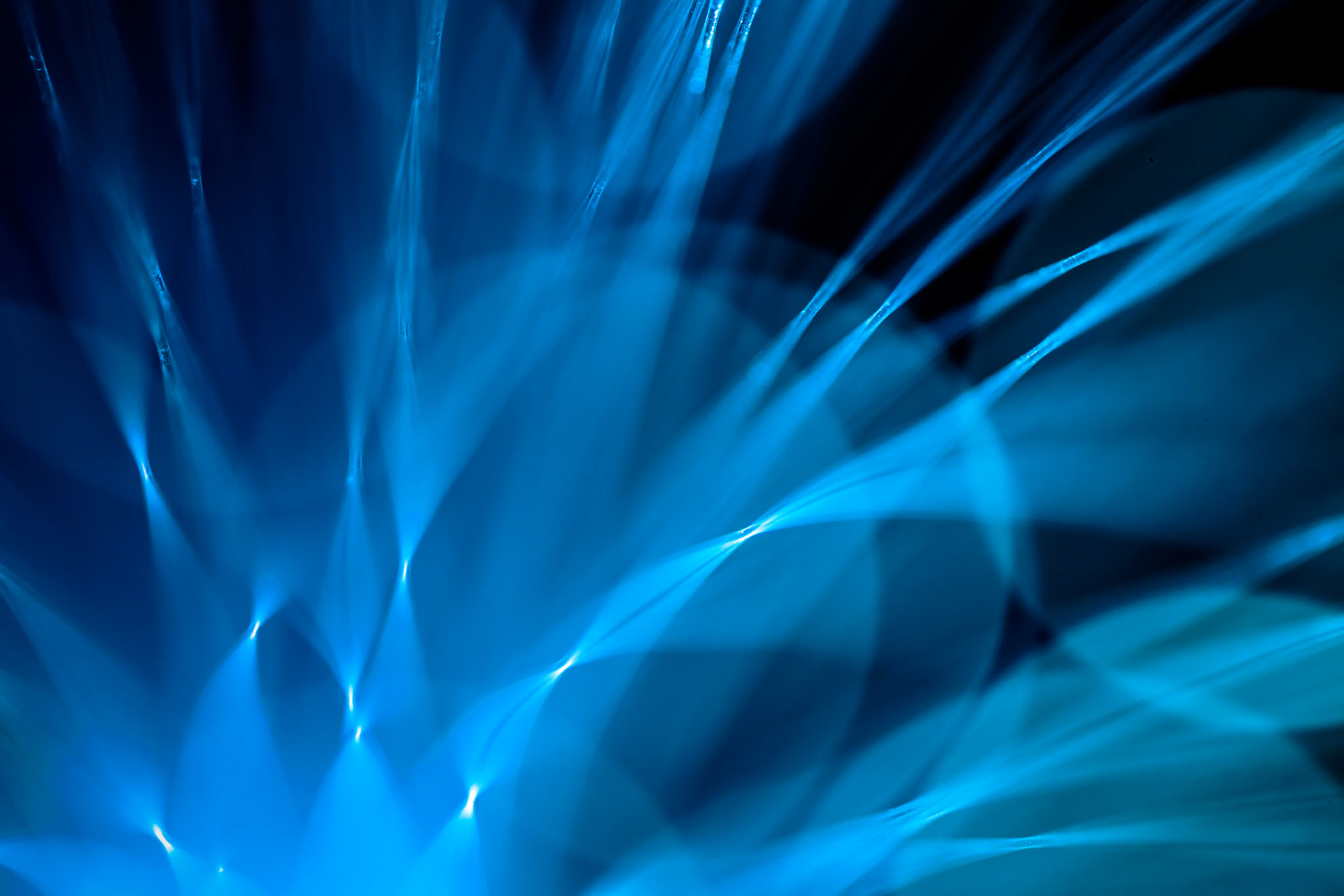 Fibre Optic Abstract