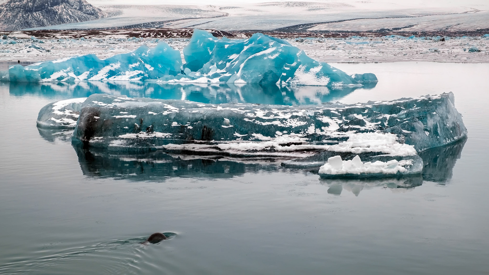 View of Jokulsarlon Ice Lagoon