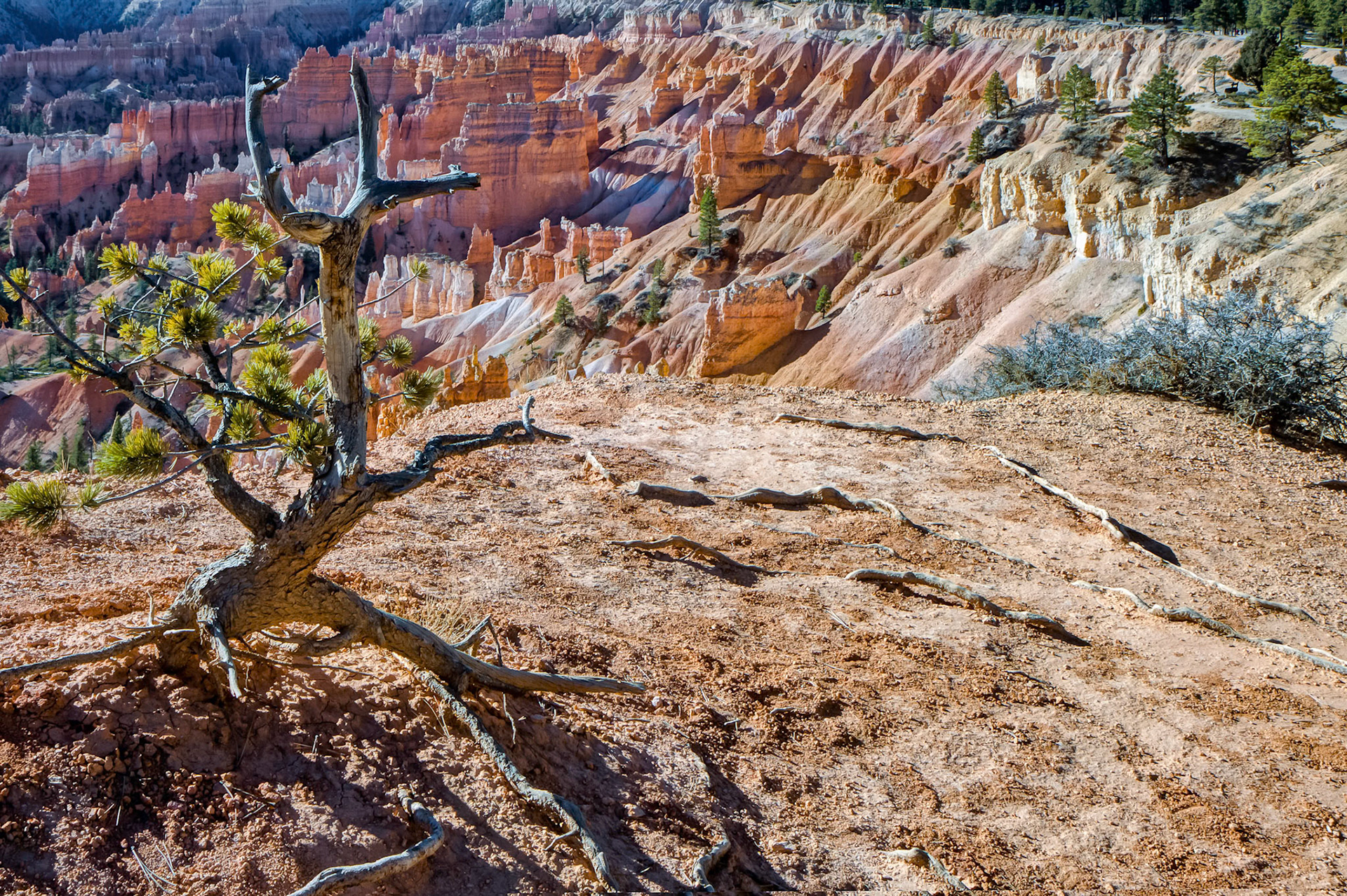 Scenic View of Bryce Canyon