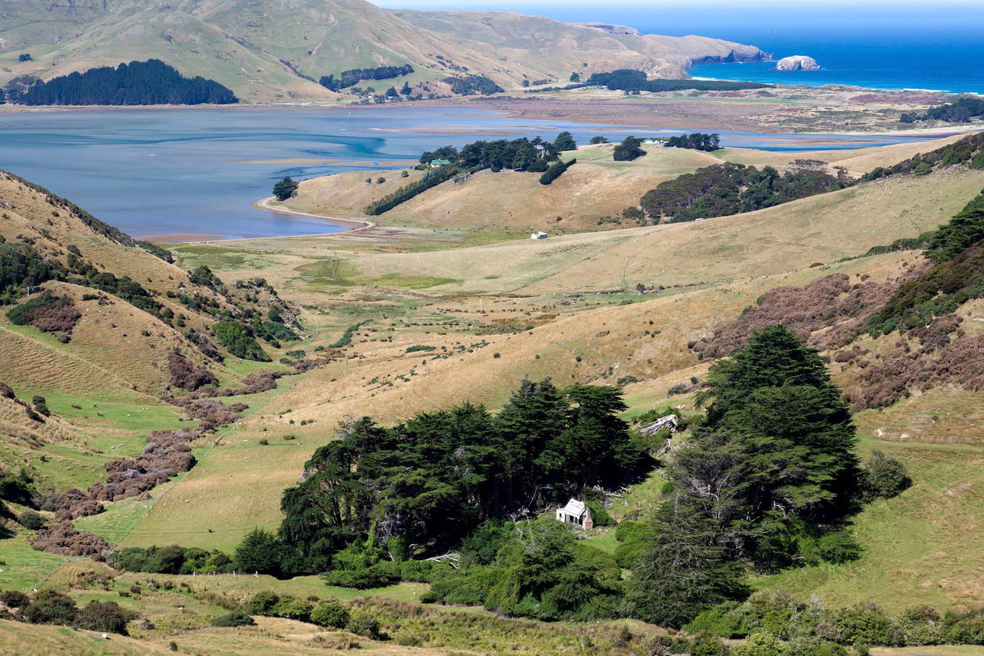 Otago Peninsula