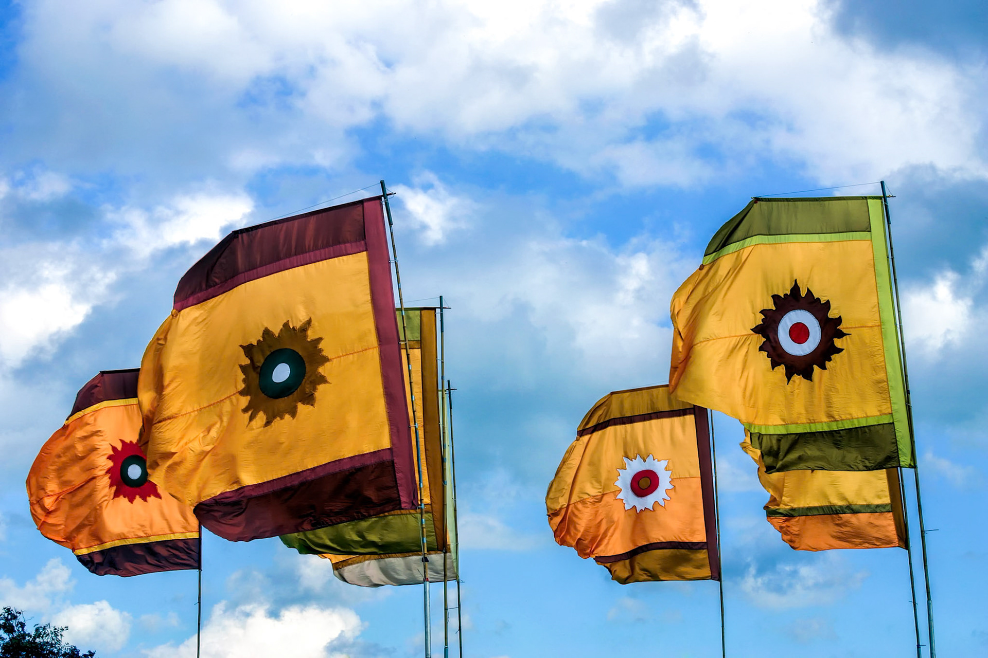 Flags on Display at Lloyd Park Croydon Surrey