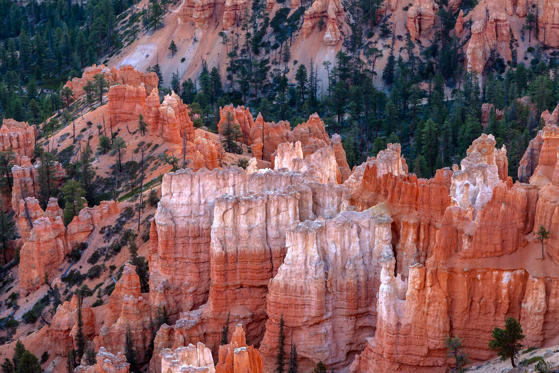 Scenic View of Bryce Canyon