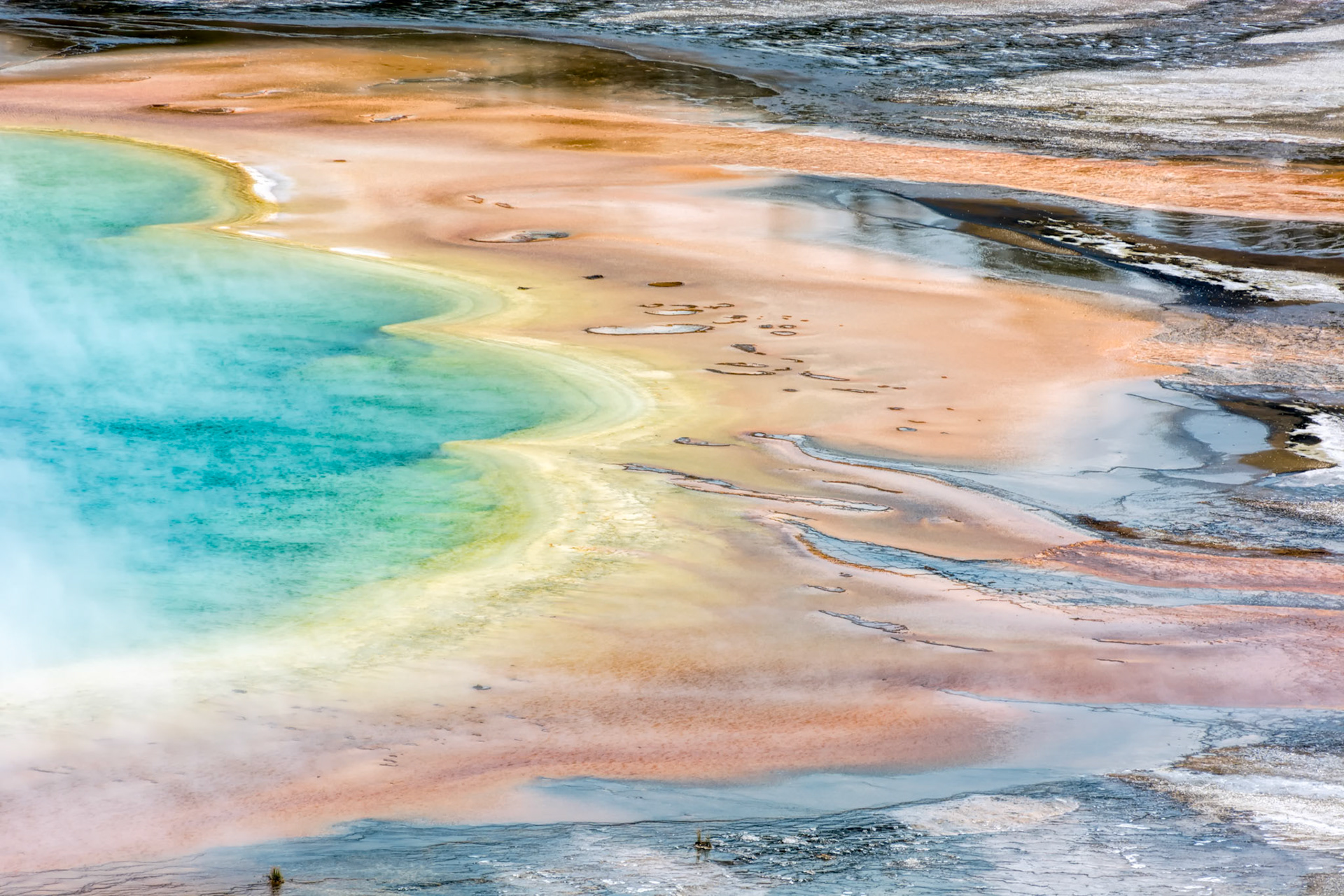 Grand Prismatic Spring