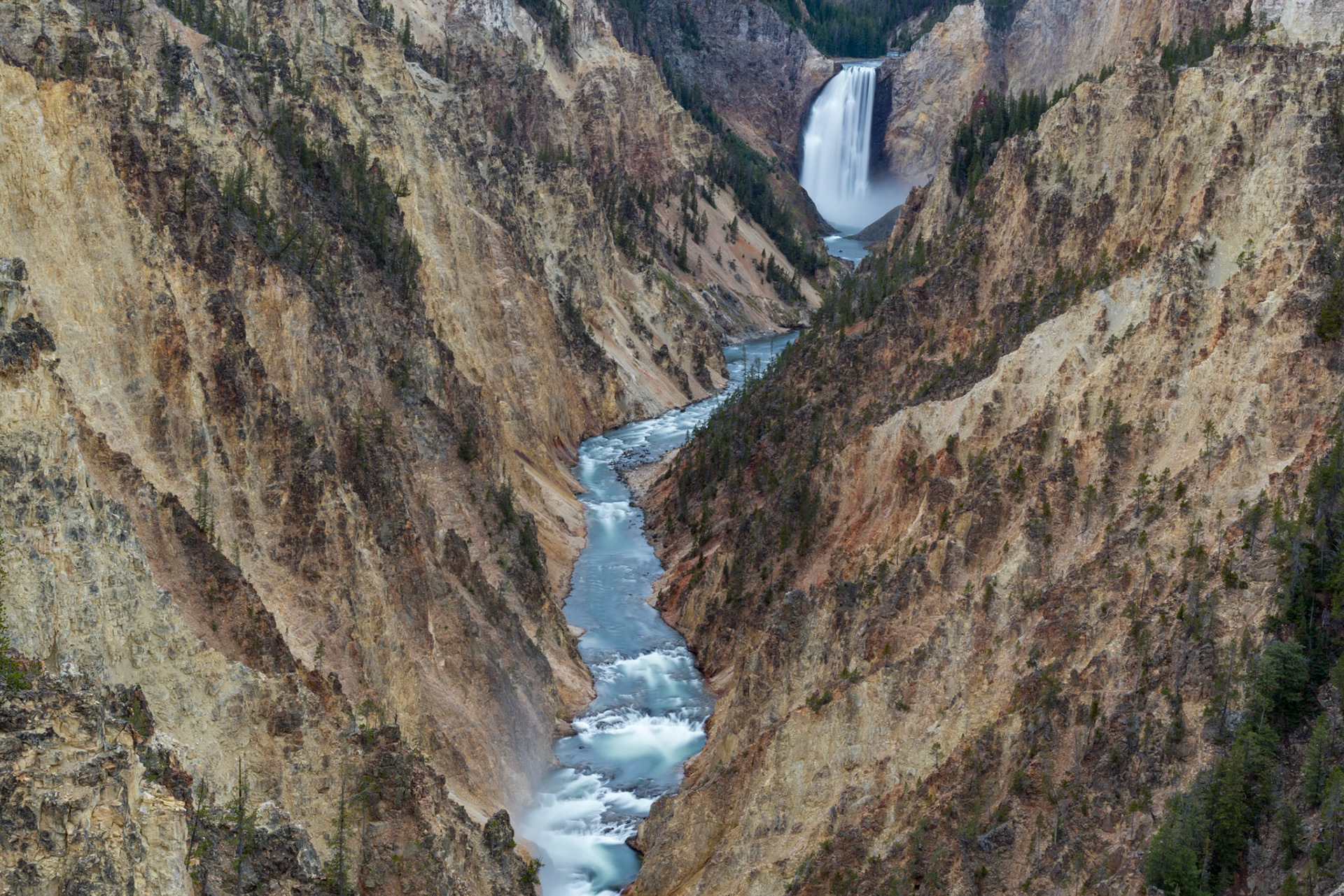 Lower Yellowstone Falls