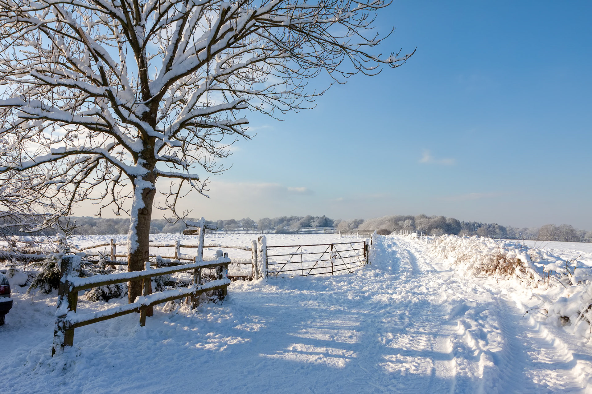Winter Scene Near East Grinstead