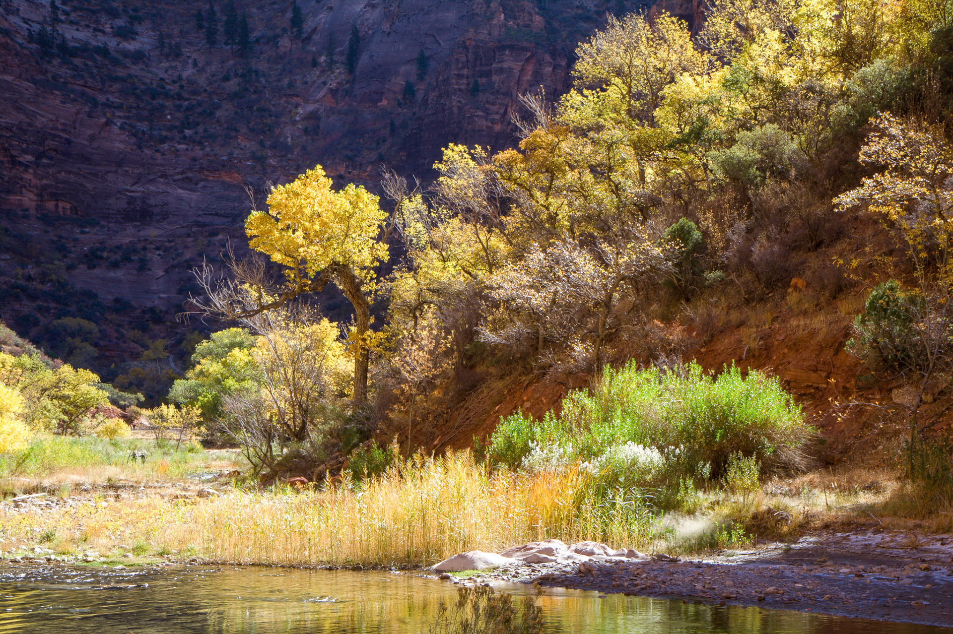 Photographers Walking alongside the Virgin River