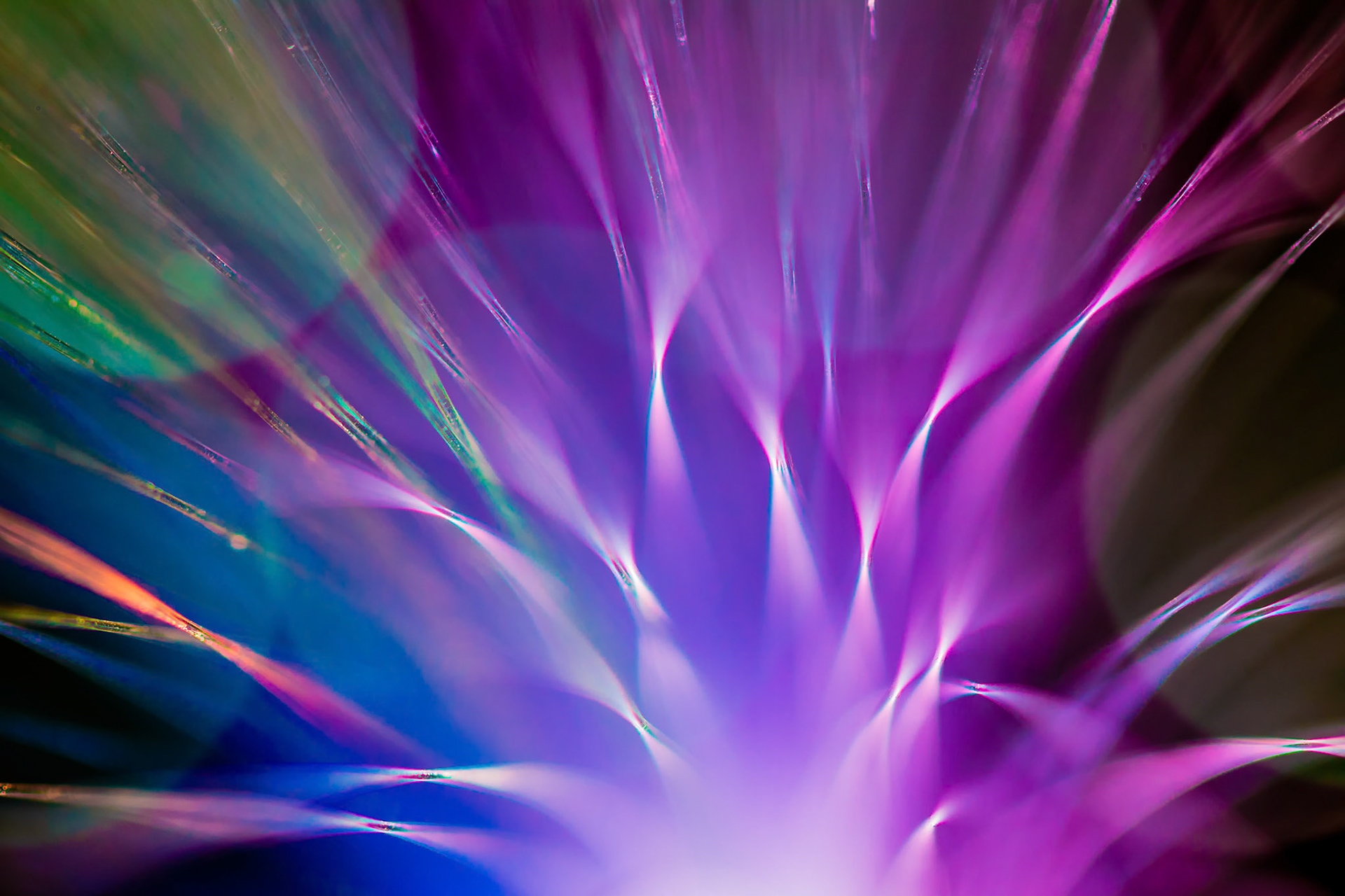 Fibre Optic Abstract