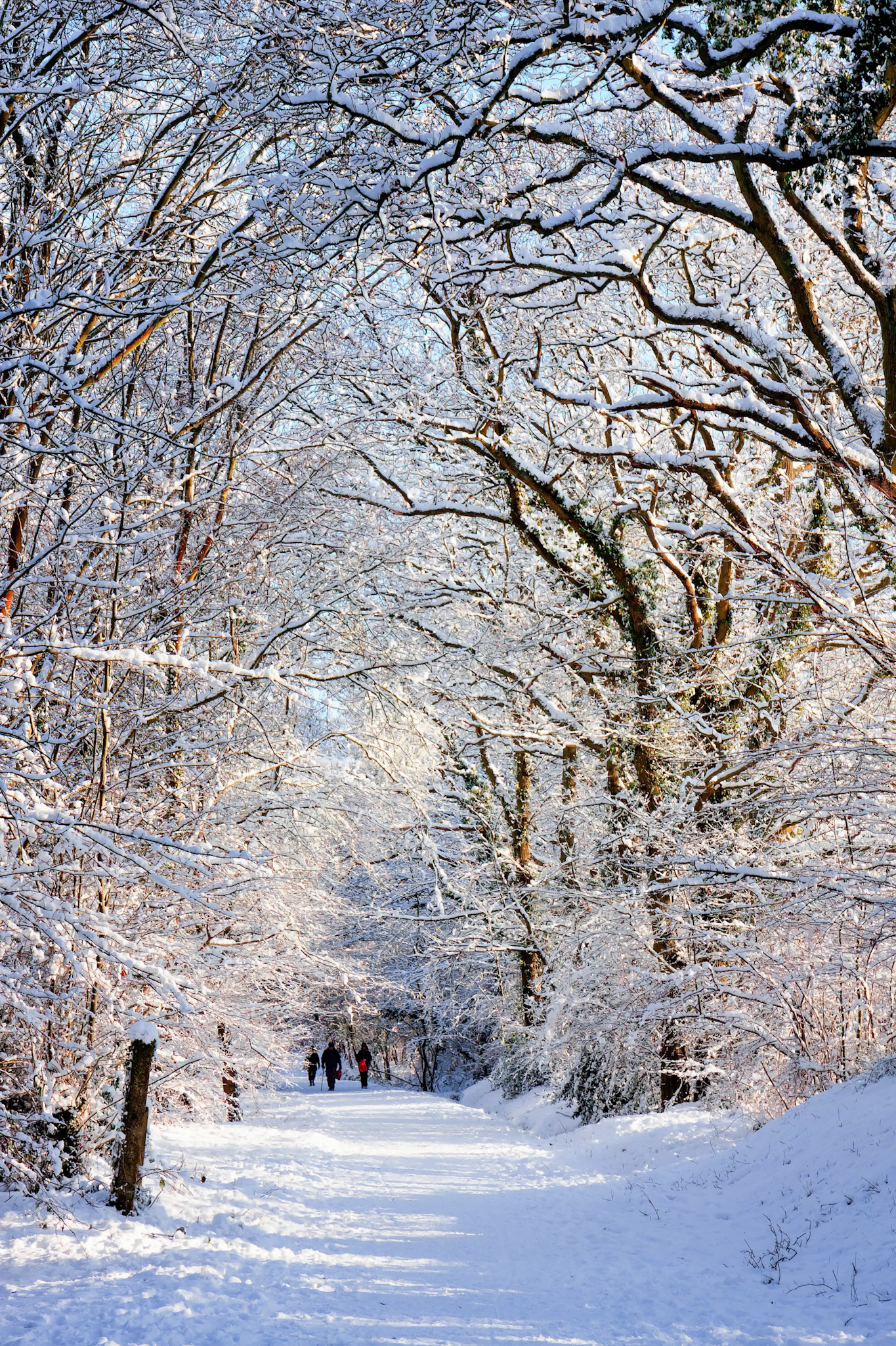 People walking along the snow covered Worth Way in East Grinstead
