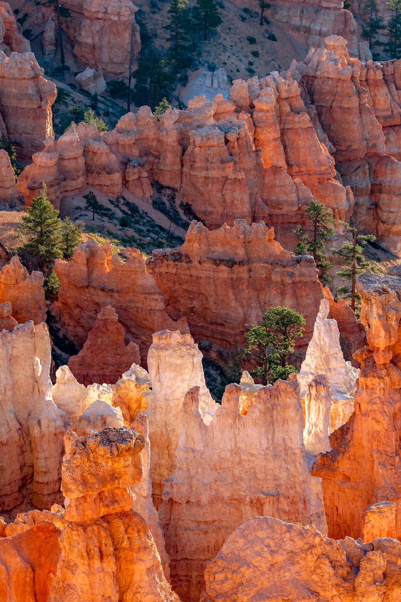 Scenic View of Bryce Canyon