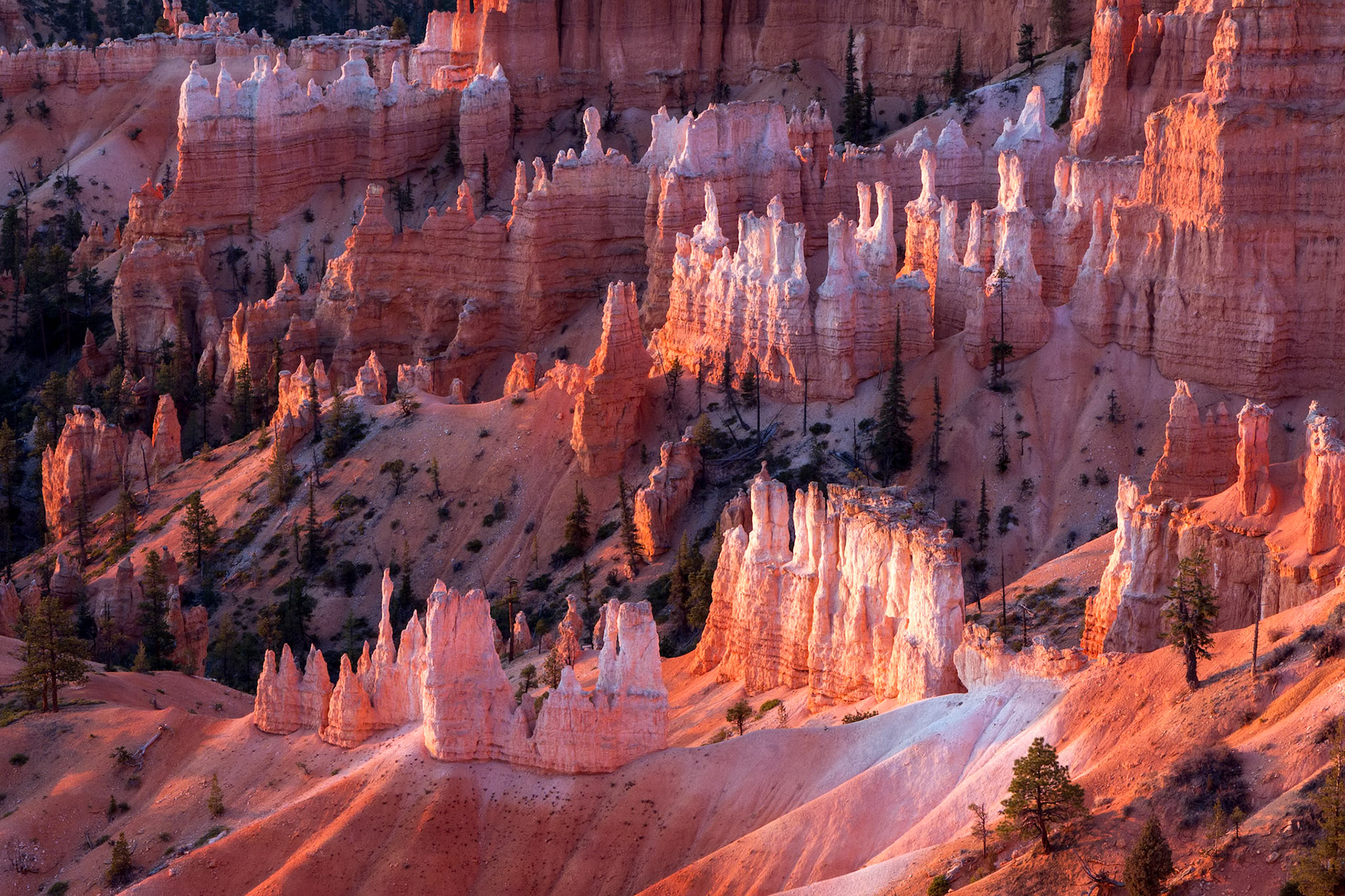 Scenic view of Bryce Canyon Southern Utah USA