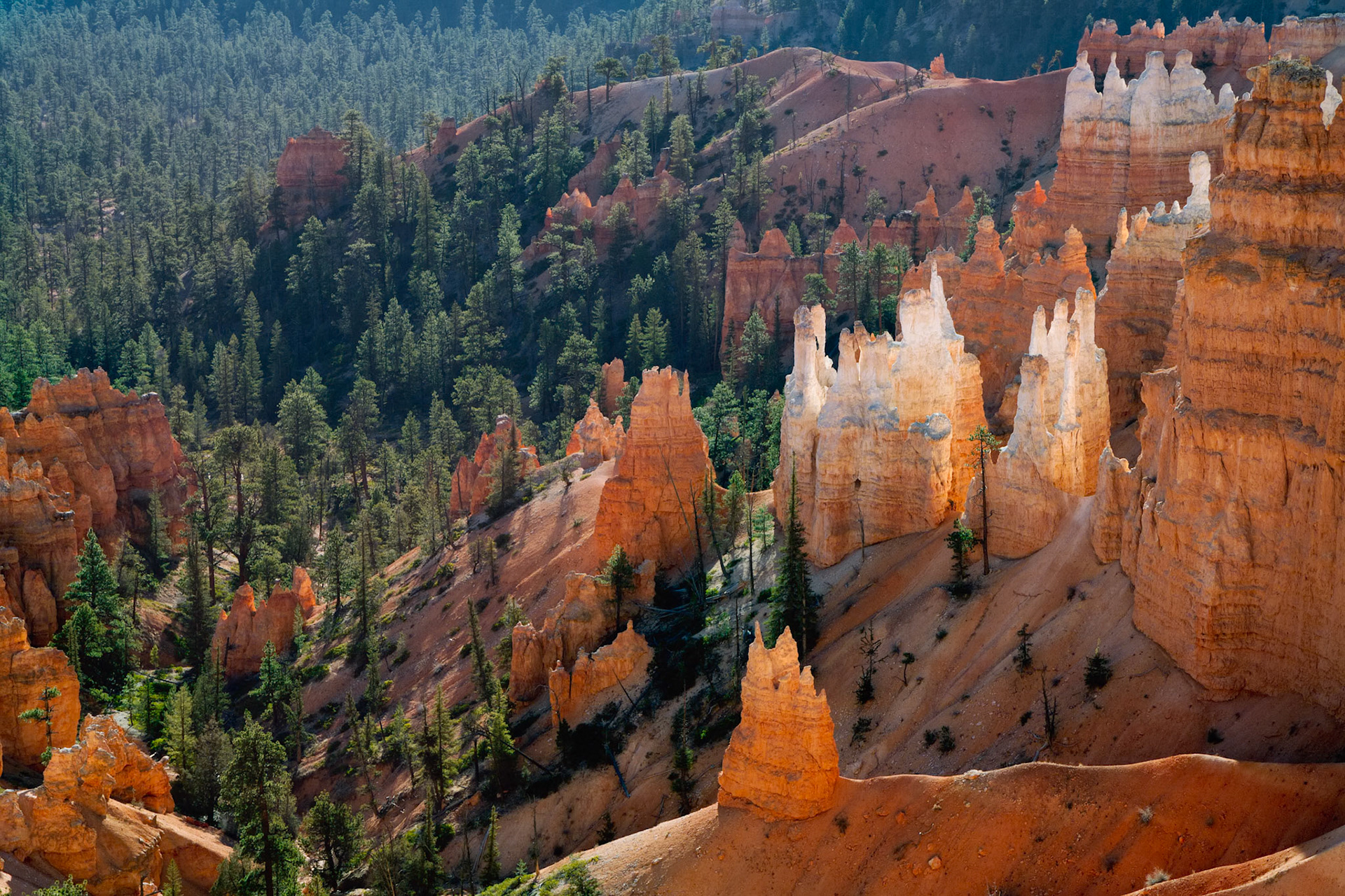 Scenic View of Bryce Canyon Southern Utah