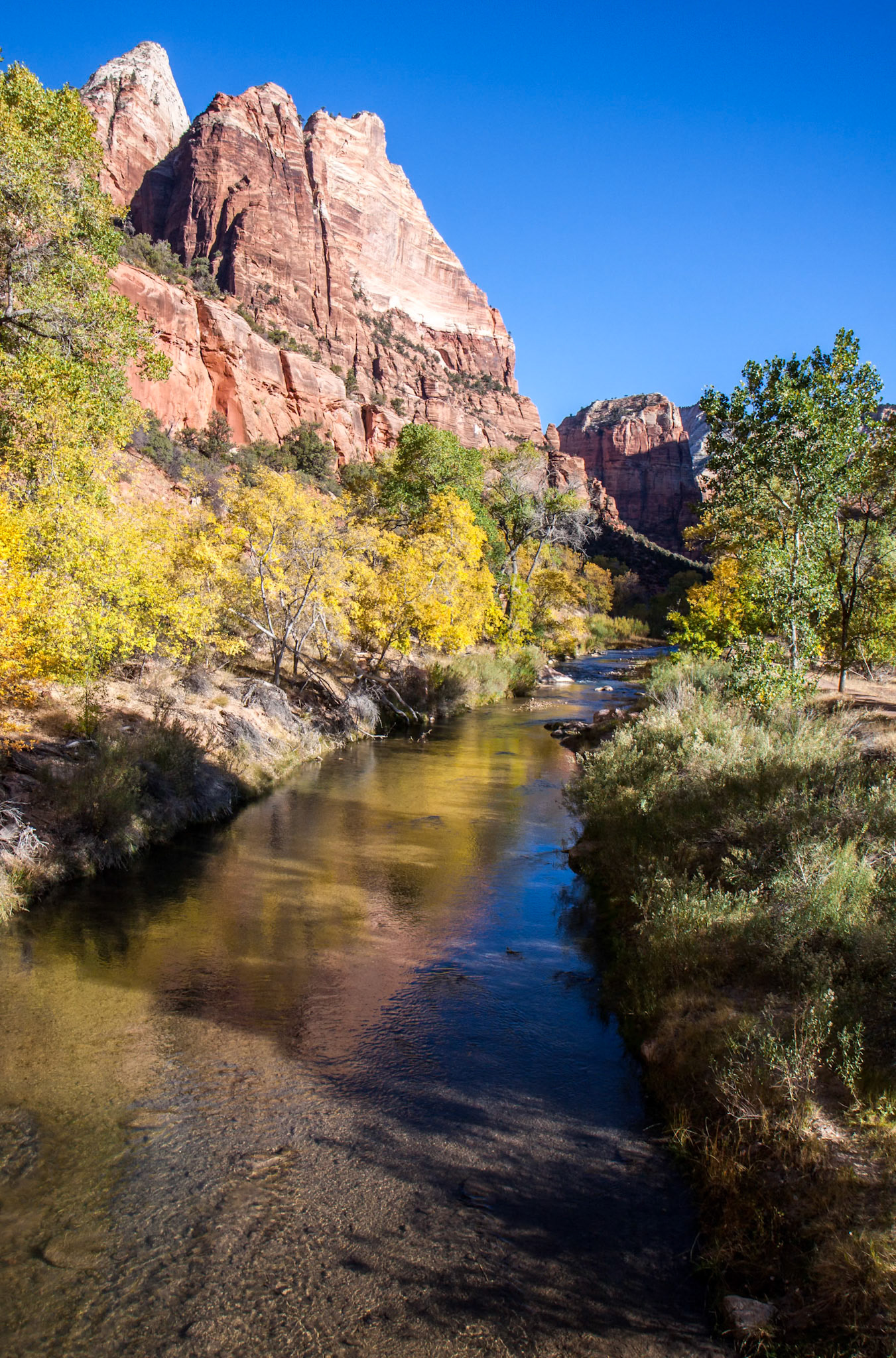 Virgin River Meandering through the Mountains of Zion