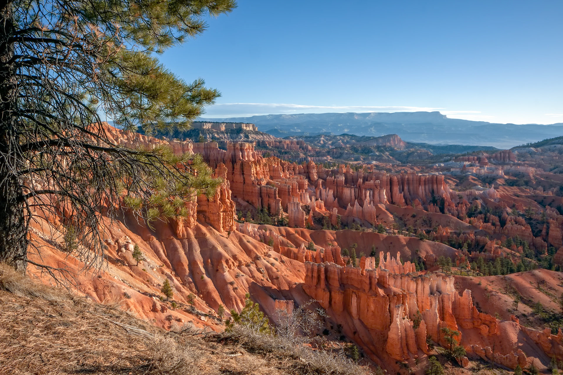 Scenic View of Bryce Canyon Southern Utah USA