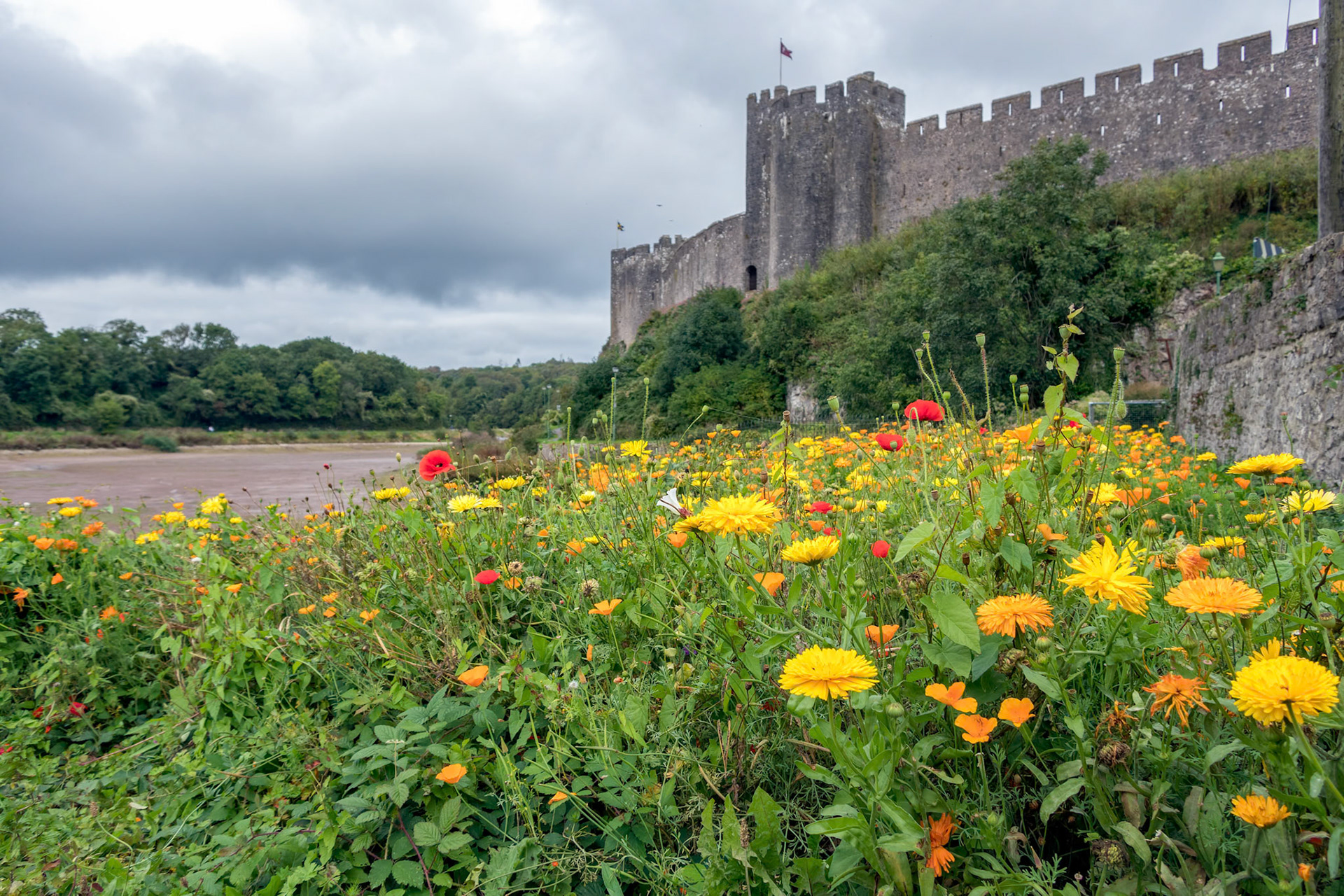 PEMBROKE, PEMBROKESHIRE/UK - SEPTEMBER 15 : View of the castle at Pembroke Pembrokeshire on September 15, 2019