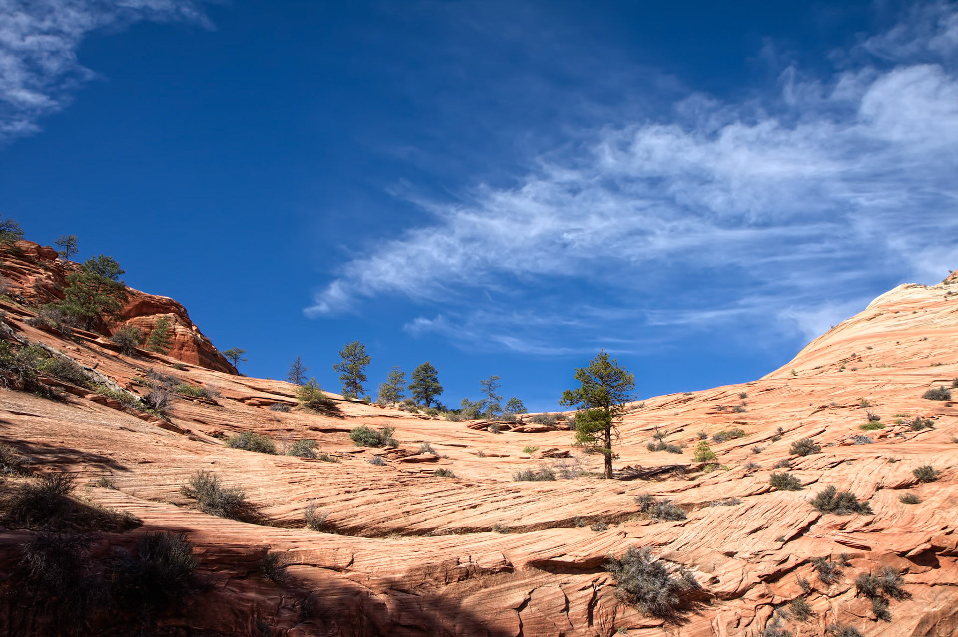 Zion Cloudscape in Autumn