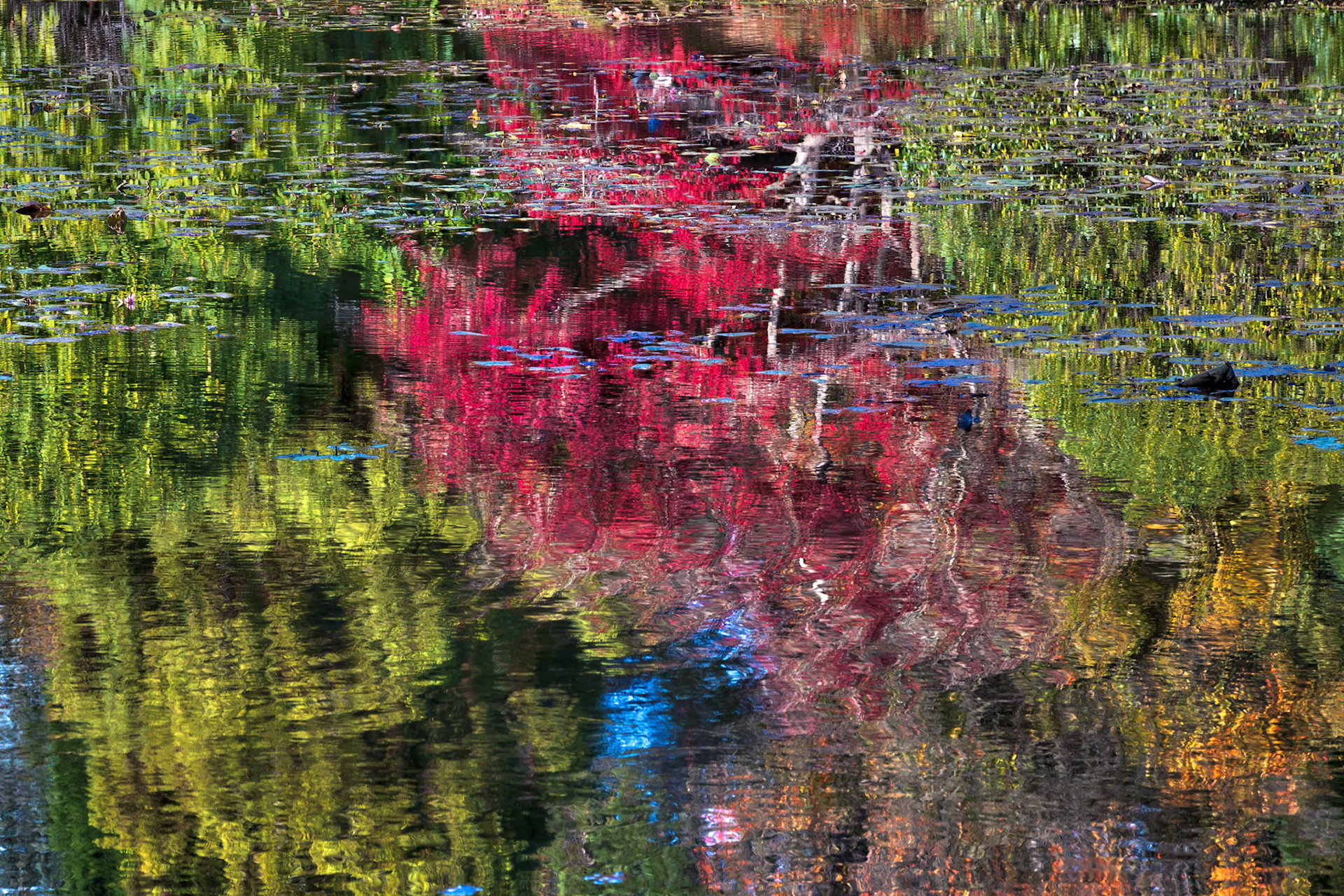 Sheffield Park Gardens