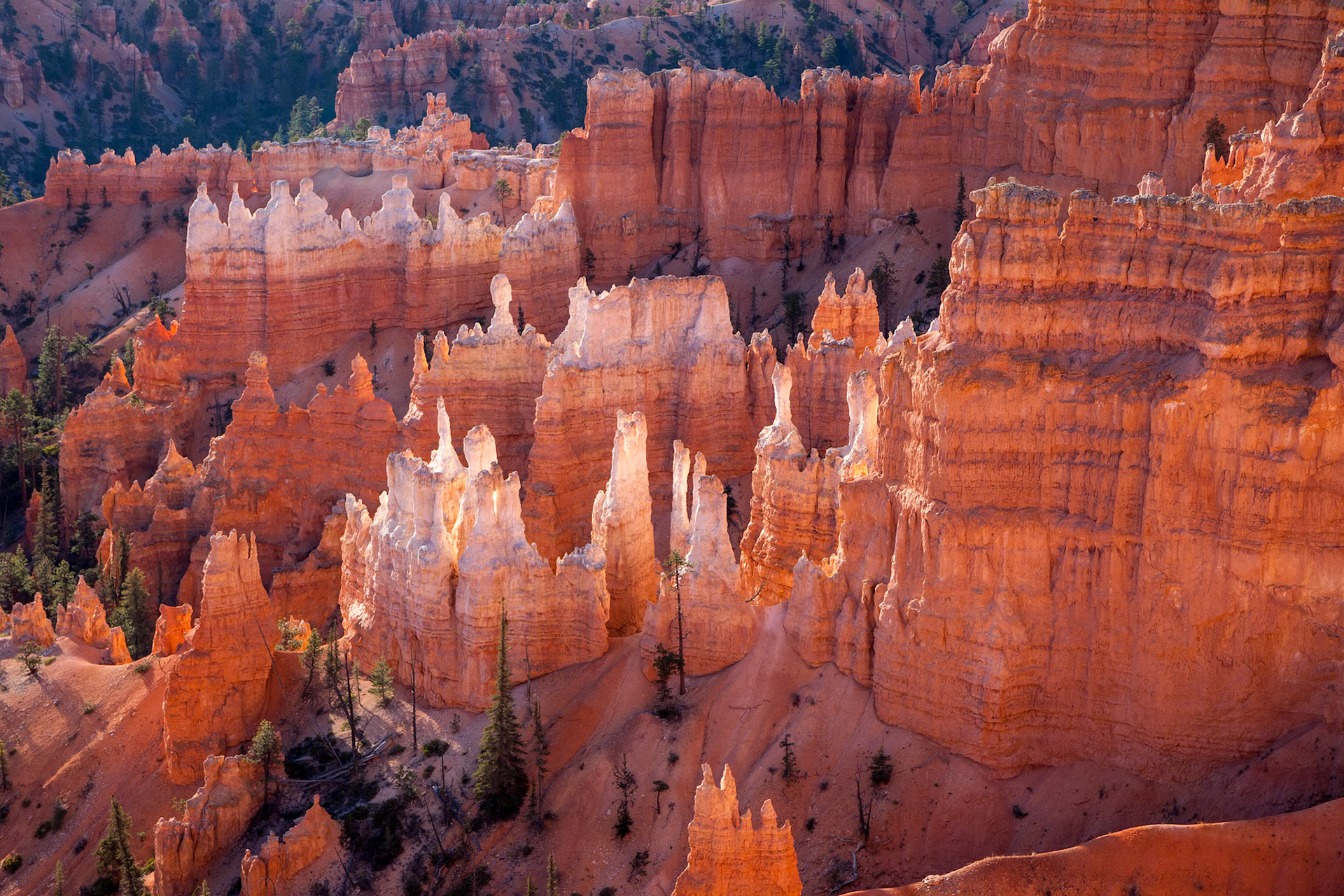 Scenic View of Bryce Canyon