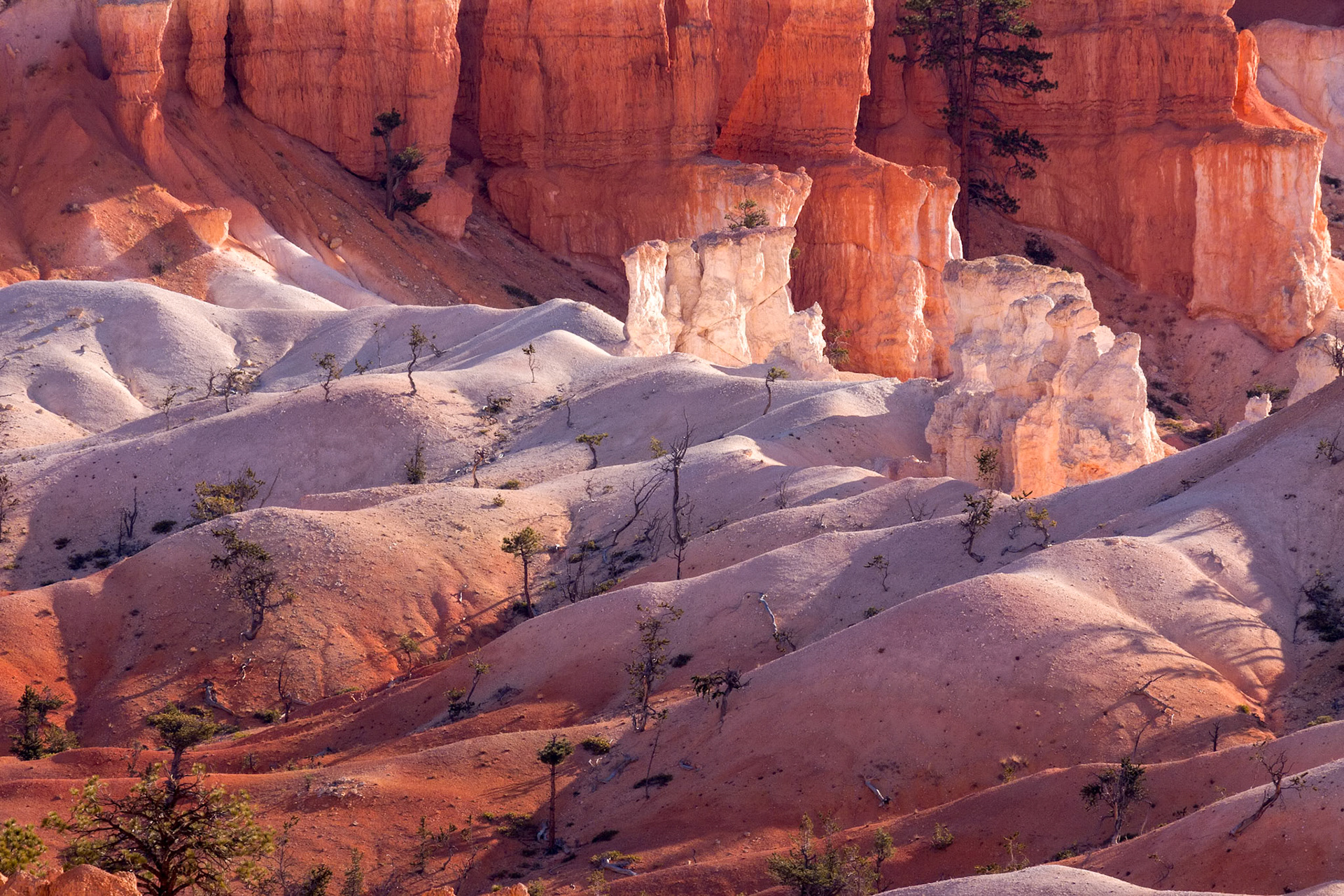 Scenic View of Bryce Canyon