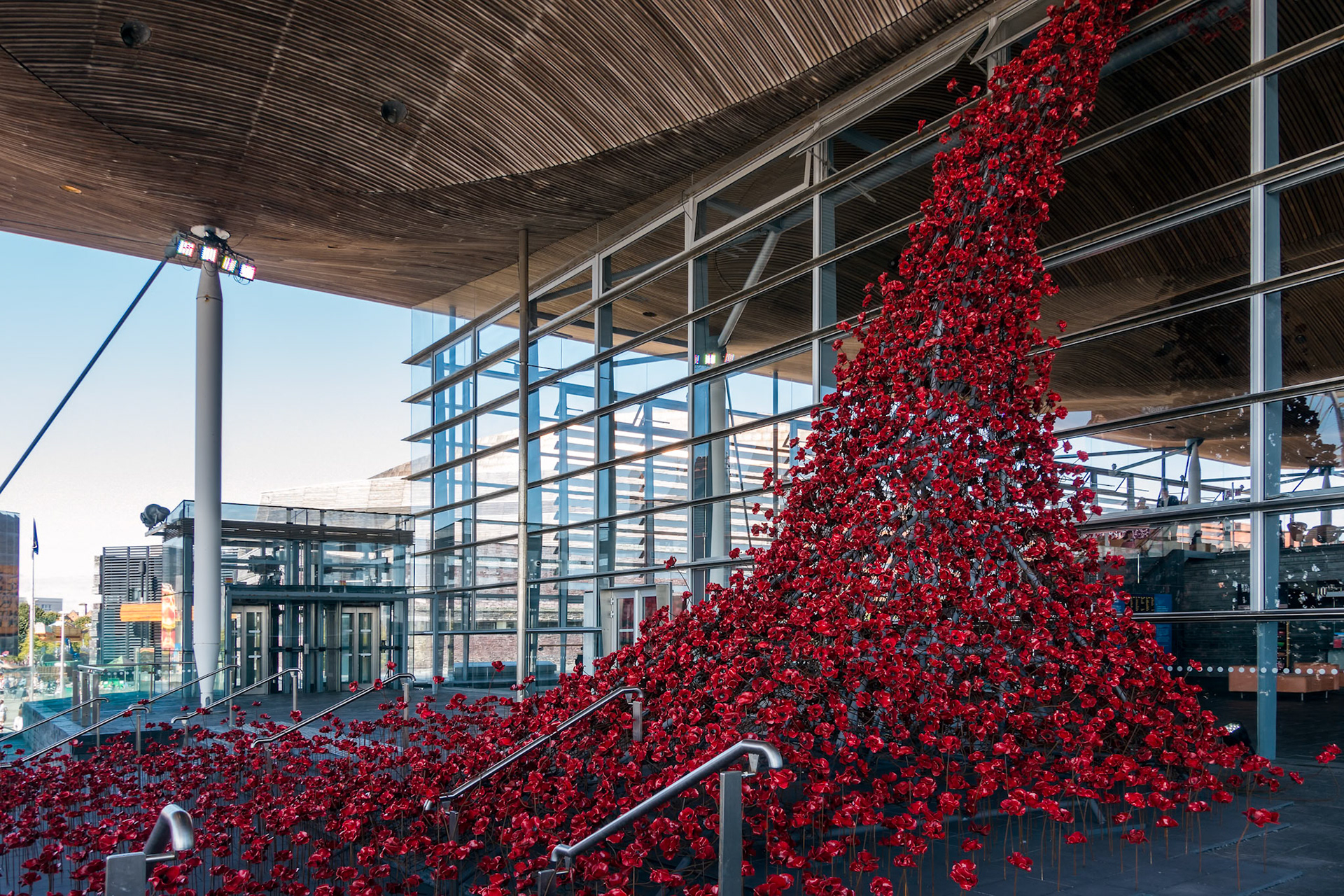 CARDIFF/UK - AUGUST 27 : Poppies Pouring out of the Welsh Assembly Building in Cardiff on August 27, 2017