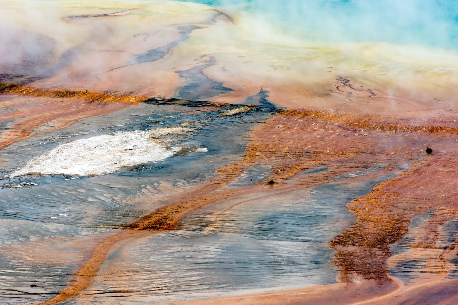 Grand Prismatic Spring