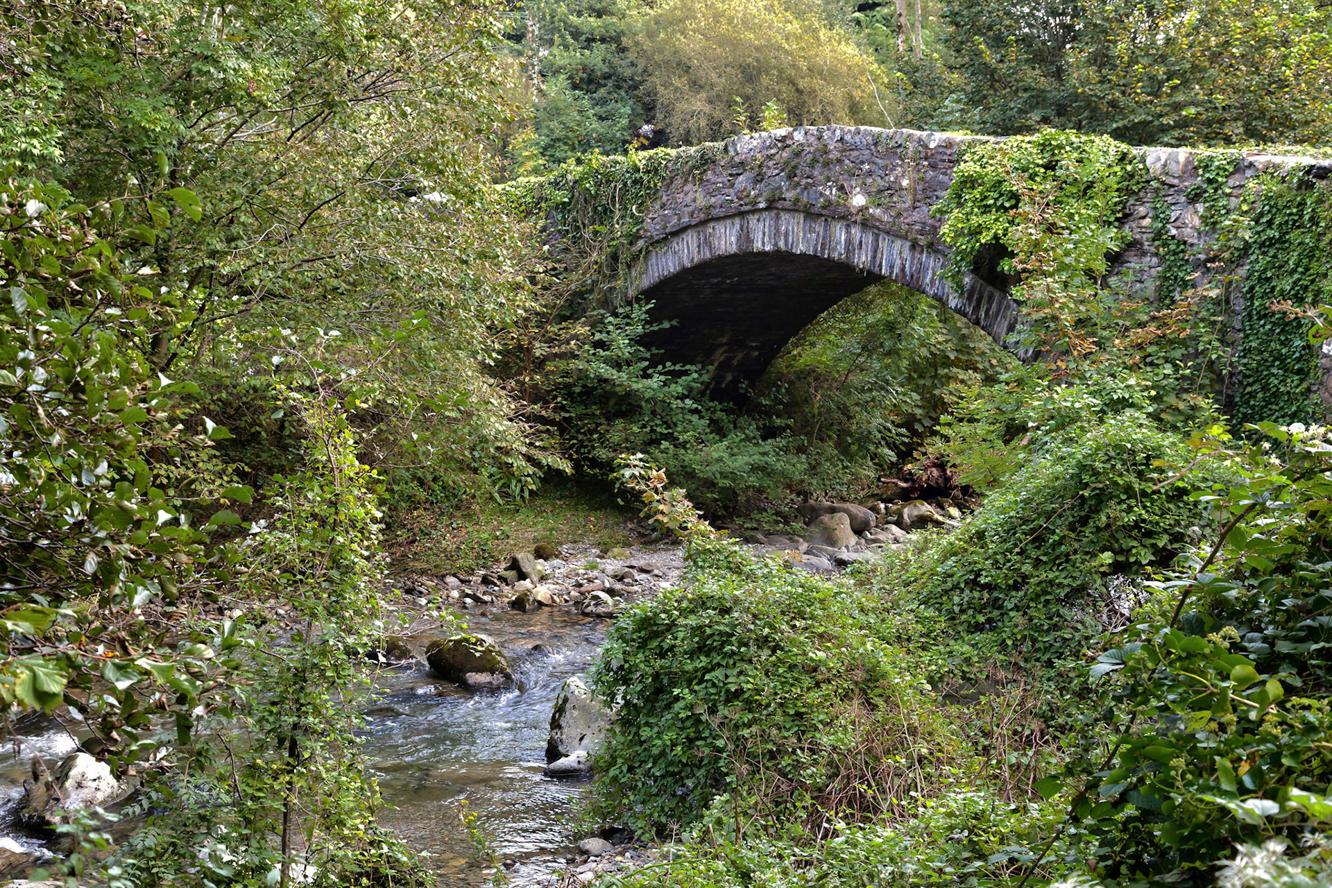 Traditional Stone Bridge over the Glaslyn River