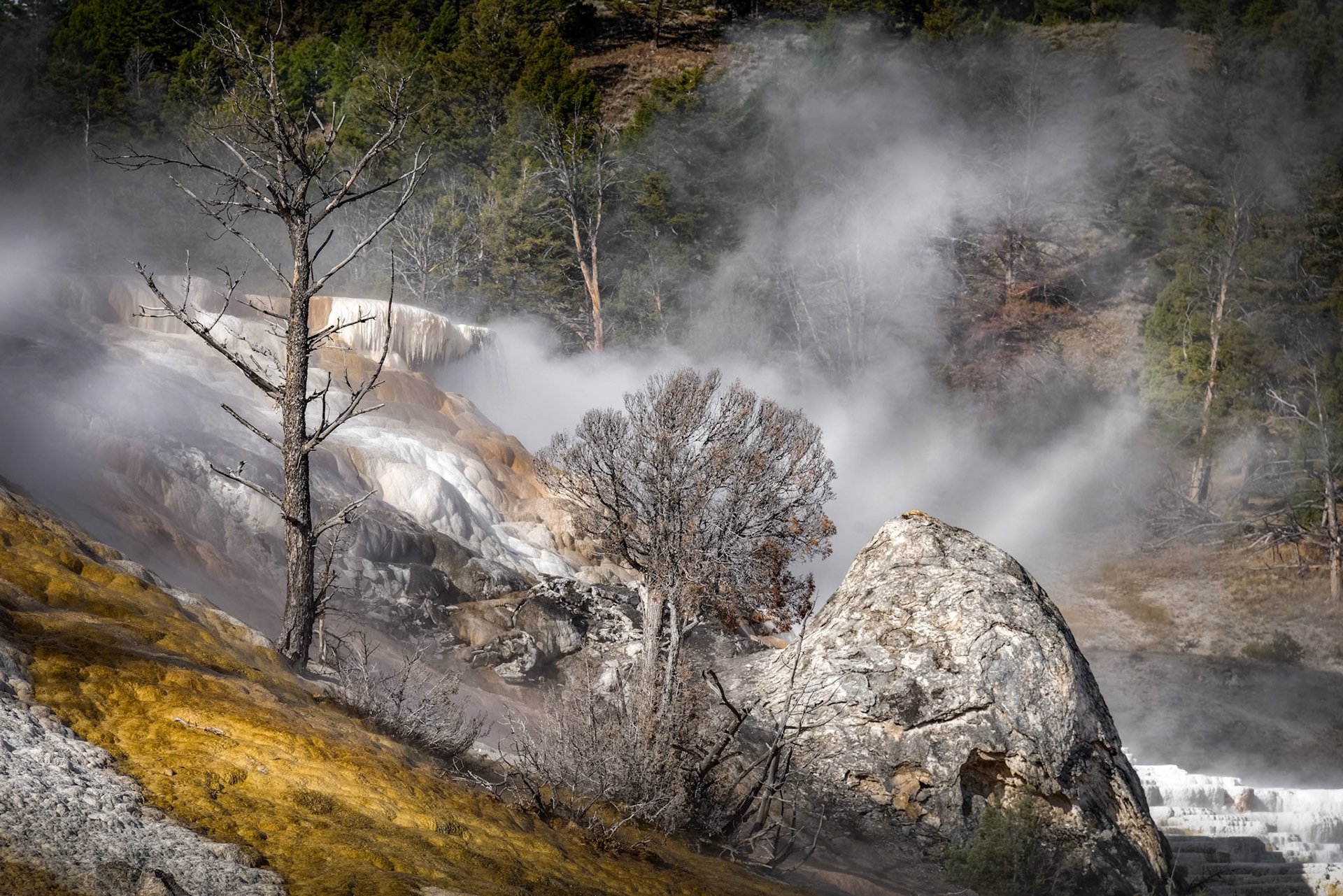 Mammoth Hot Springs in Yellowstone National Park