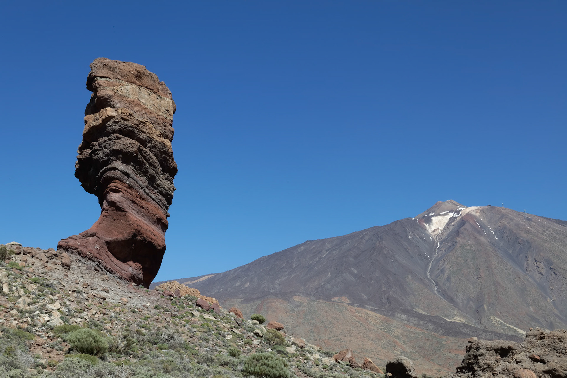 Mount Teide and the Tree