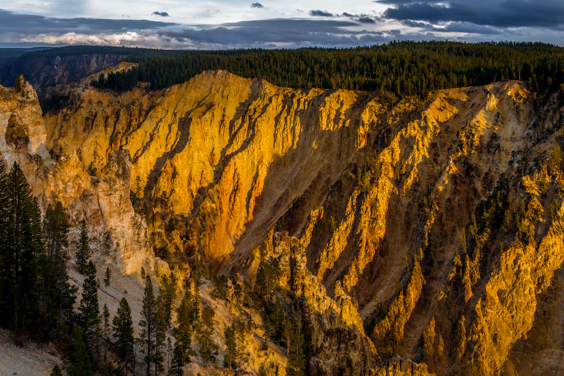 Grand Canyon of Yellowstone