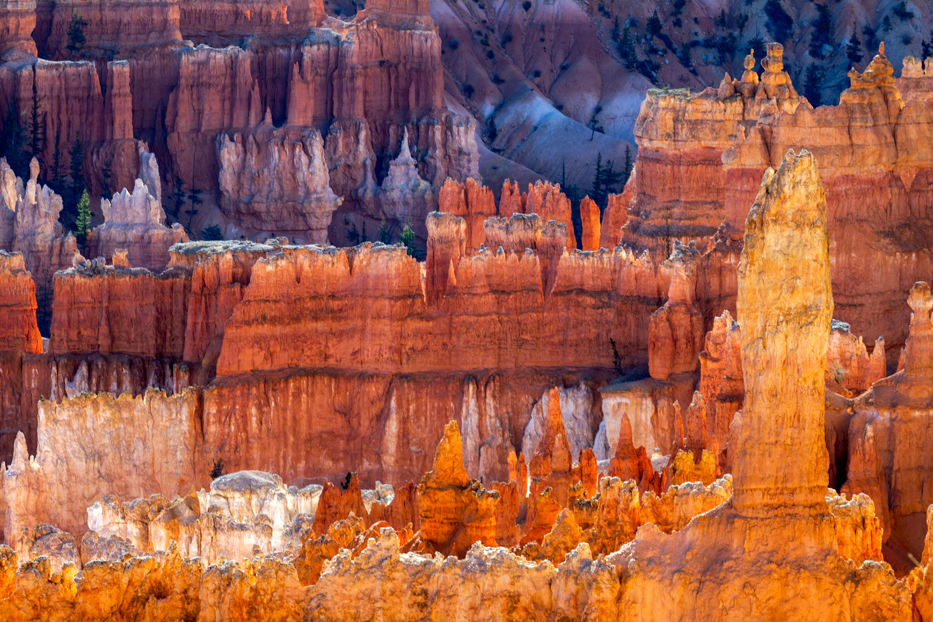 Spectacular Hoodoos at Bryce Canyon