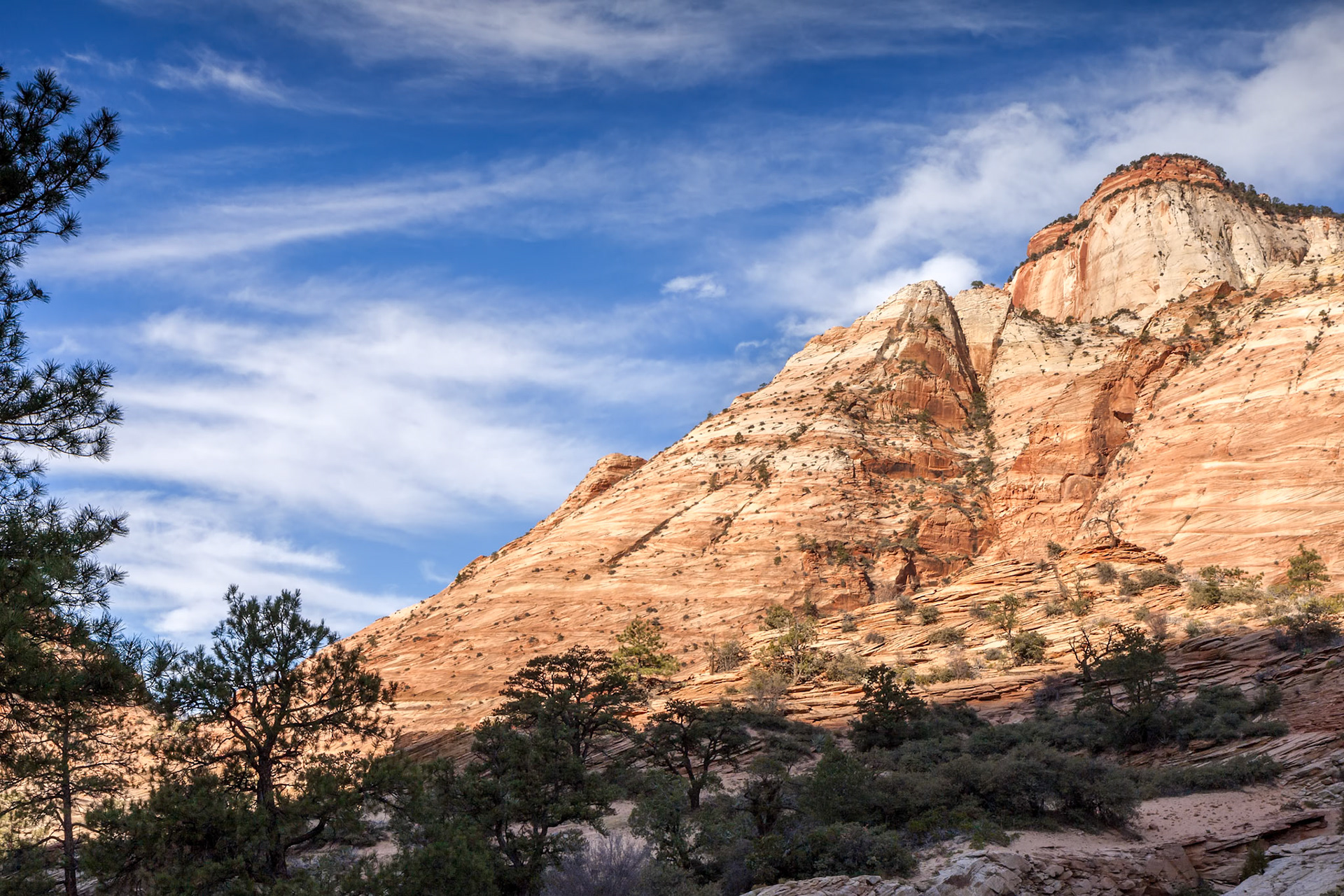 Checkerboard Mesa an unusual Mountain in Zion National Park