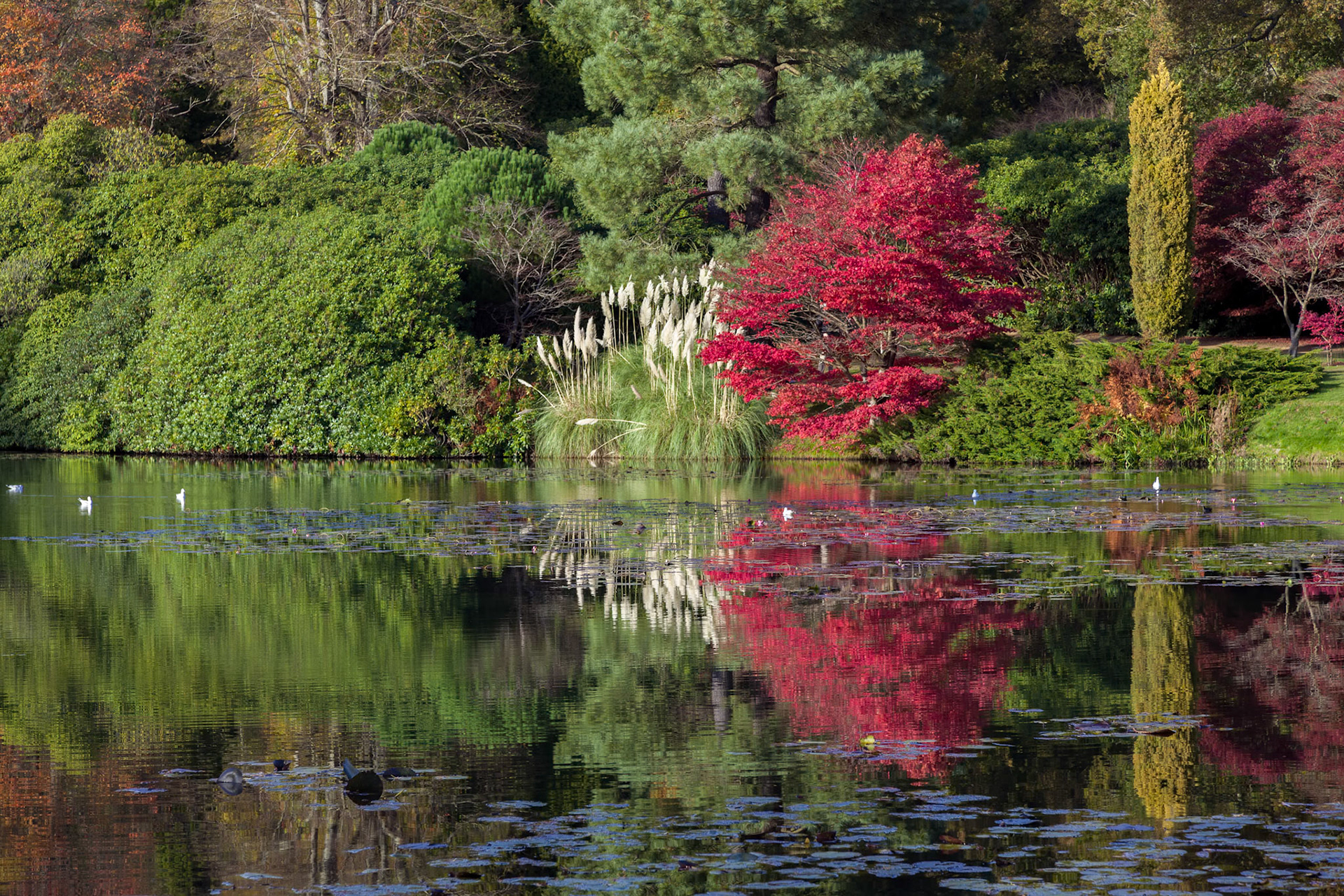 Sheffield Park Gardens