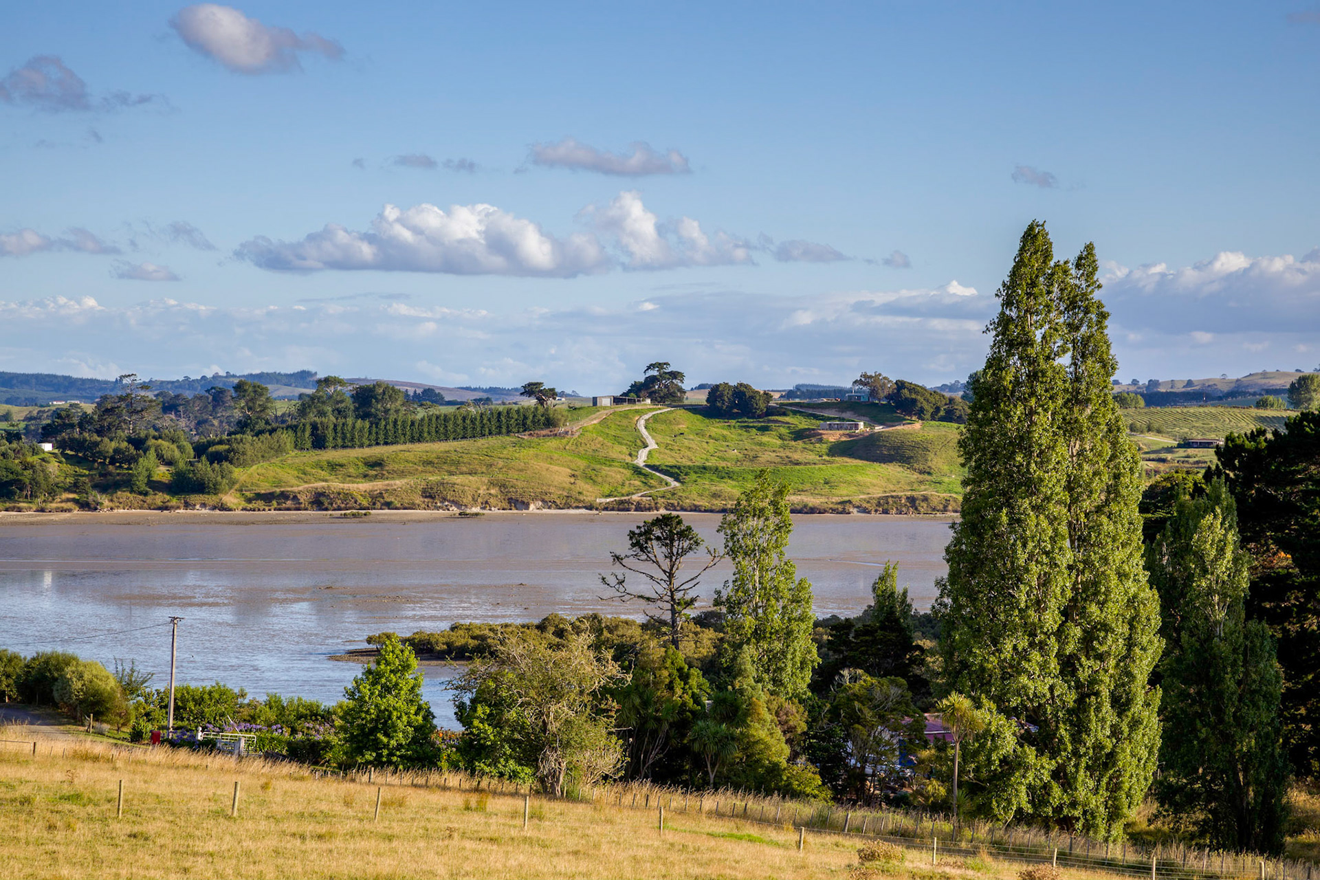 Tidal river landscape in the North Island of New Zealand
