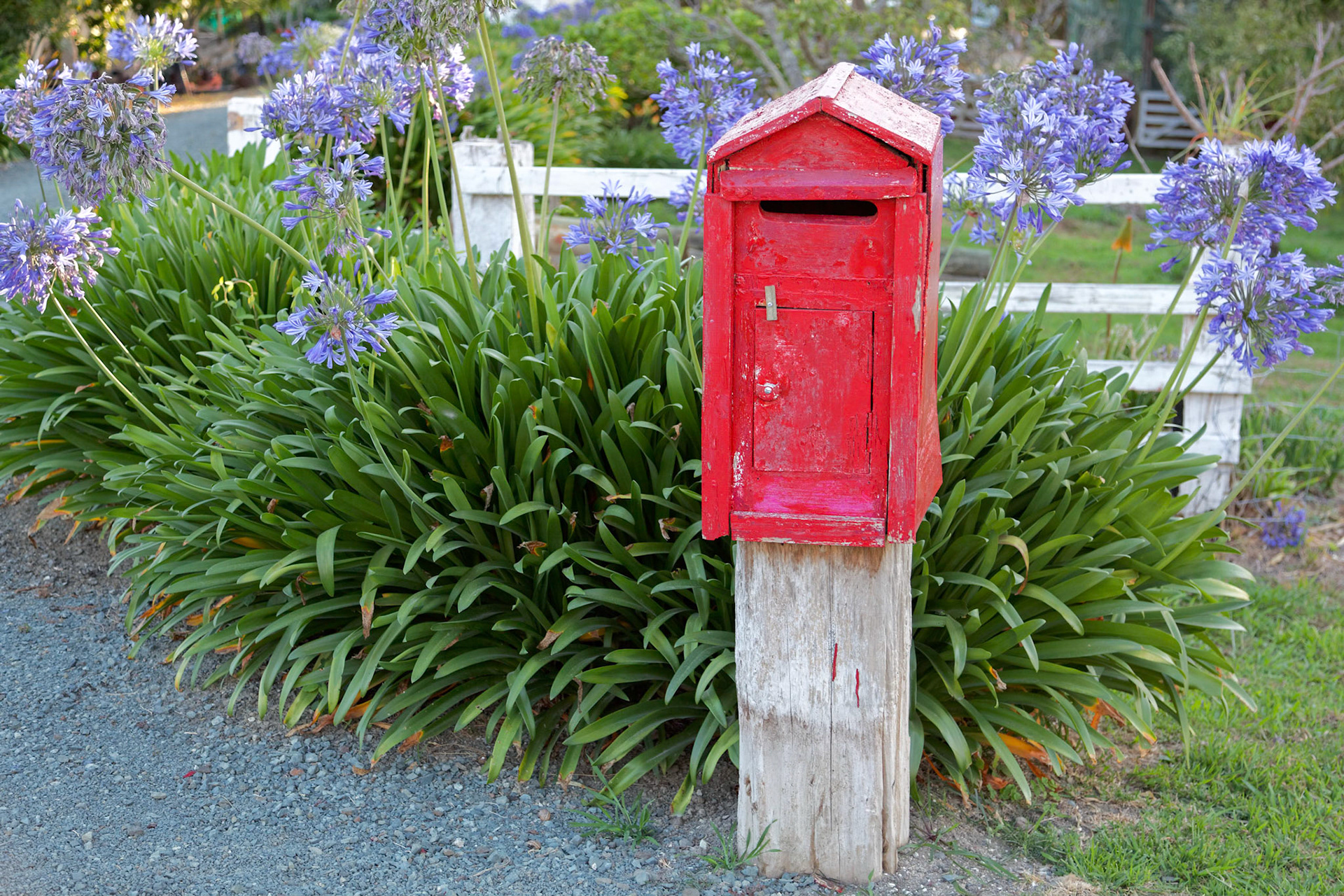 New Zealand Post Box