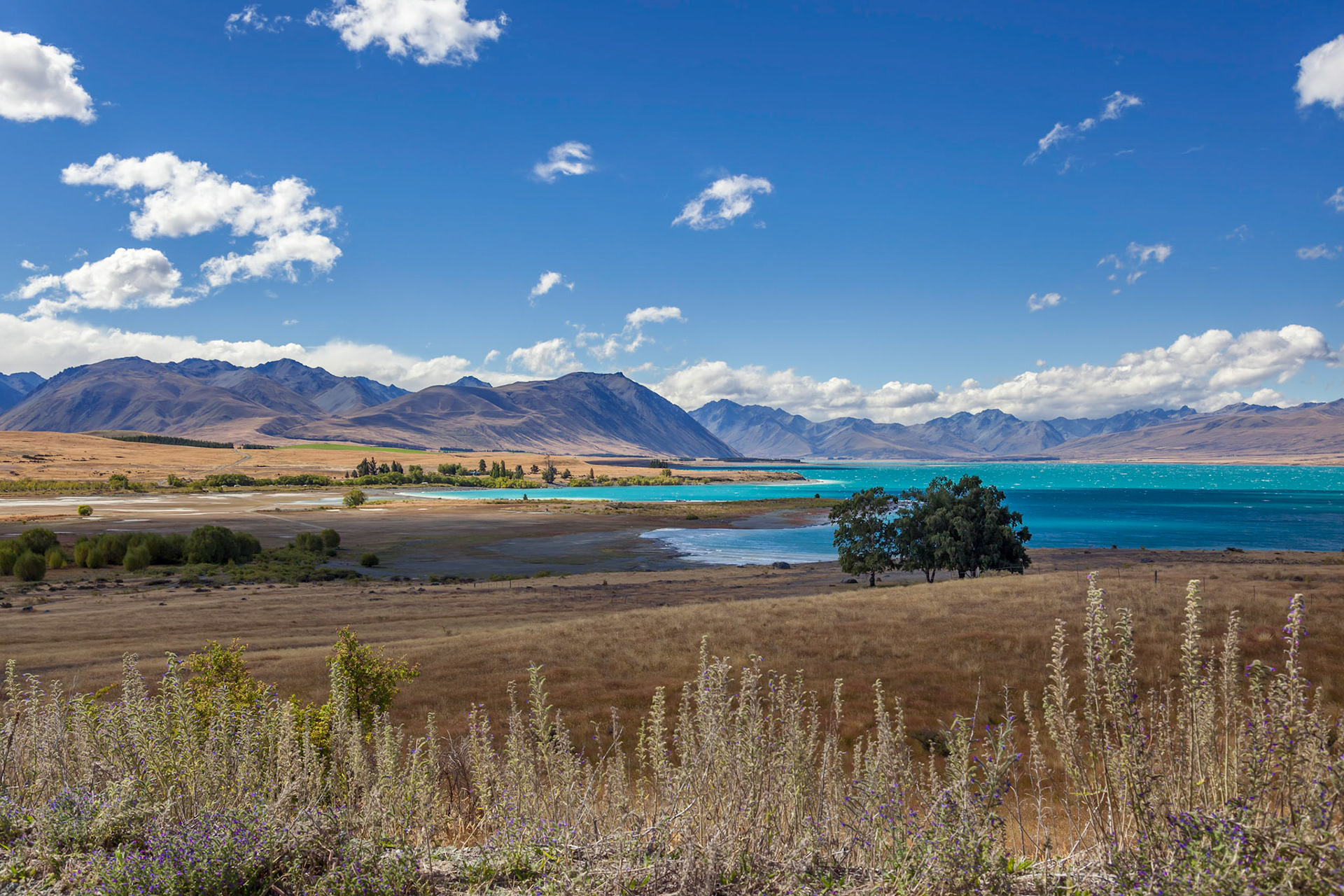 Distant View of Lake Tekapo on a Summer's Day