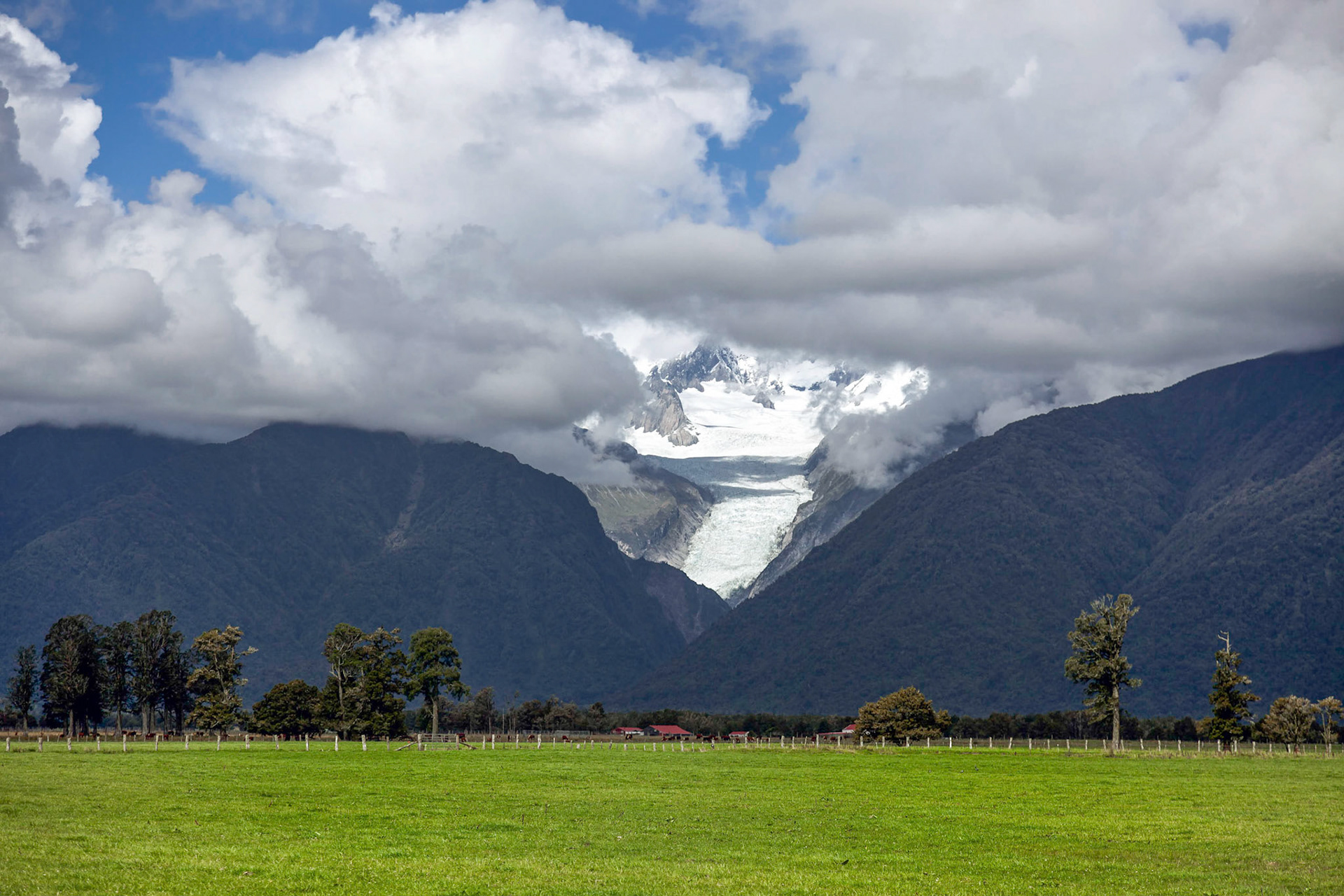 Fox Glacier
