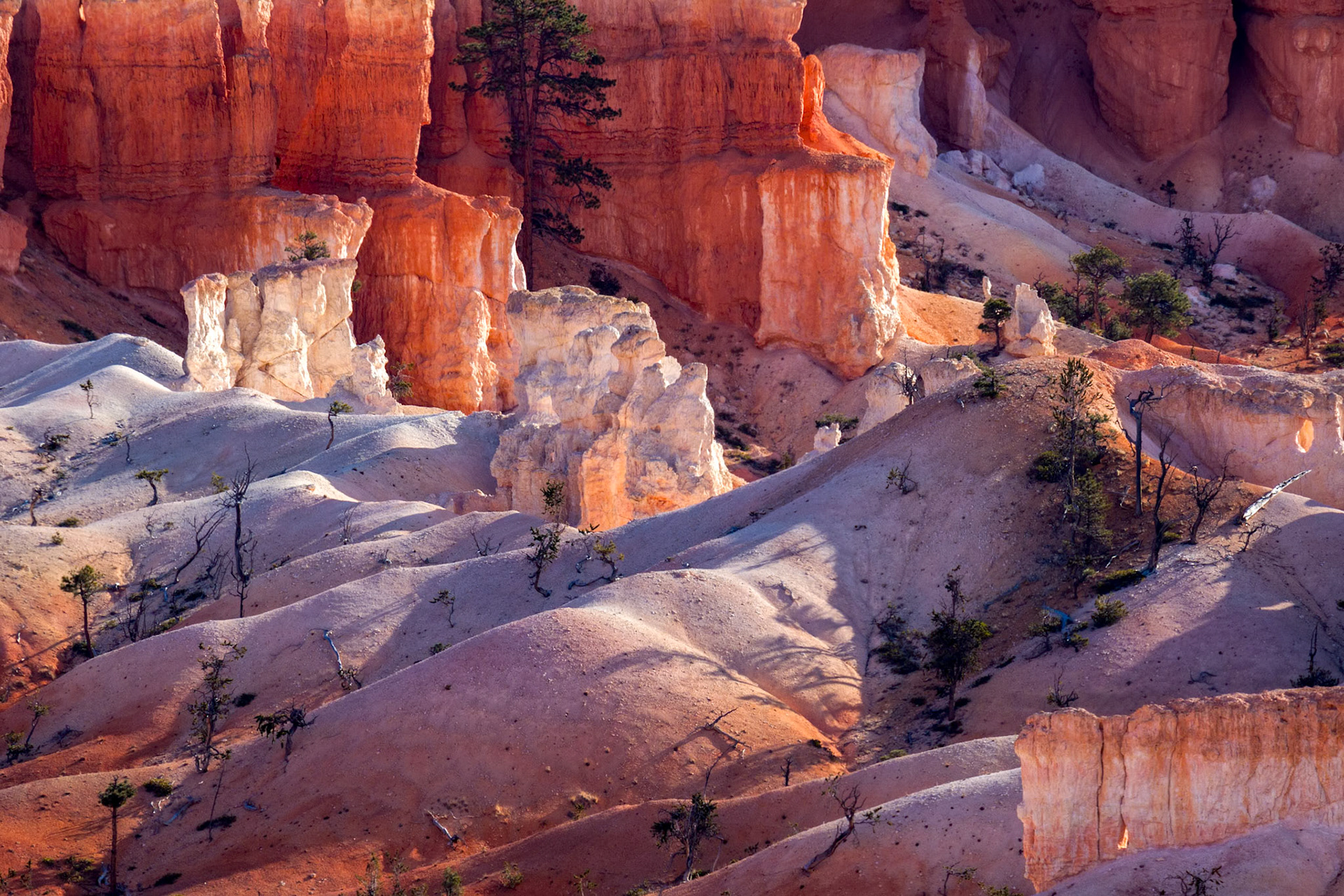 White and Orange Hoodoos