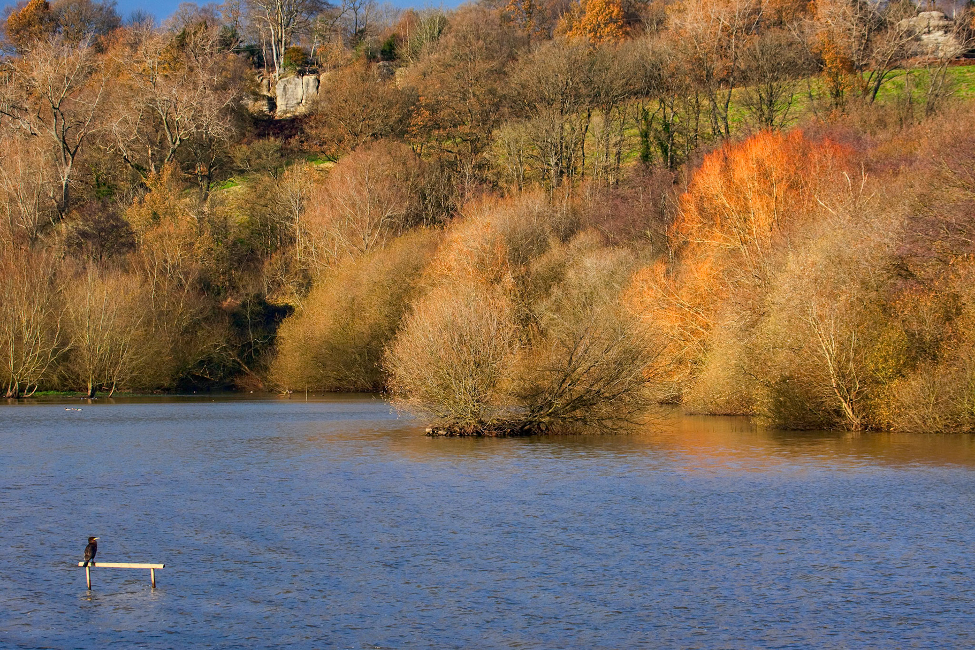 Weir Wood Reservoir