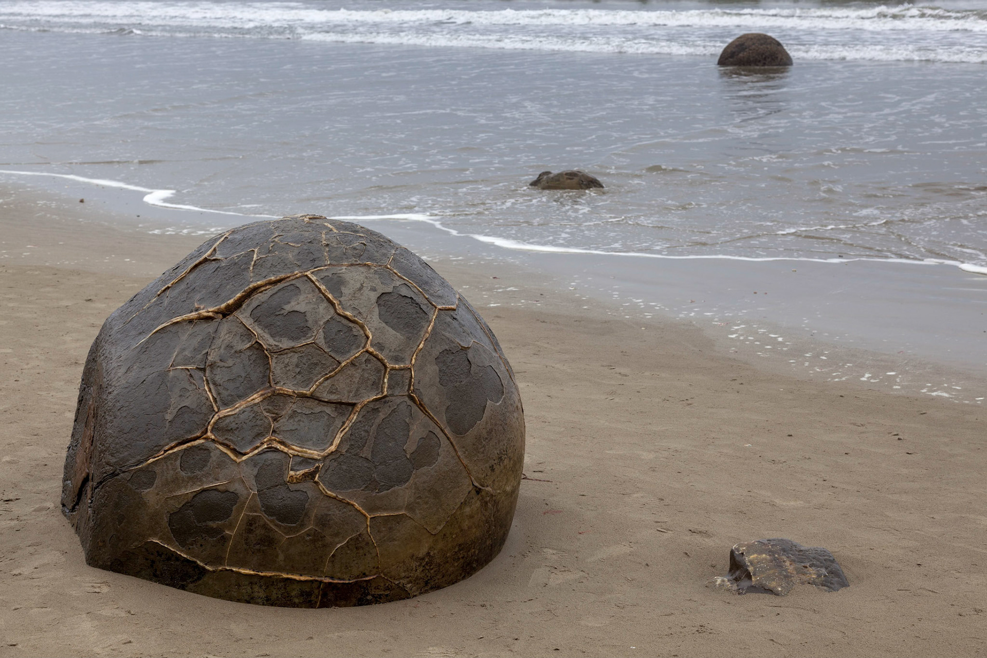 Moeraki Boulders at Koekohe Beach on the wave-cut Otago coast of New Zealand