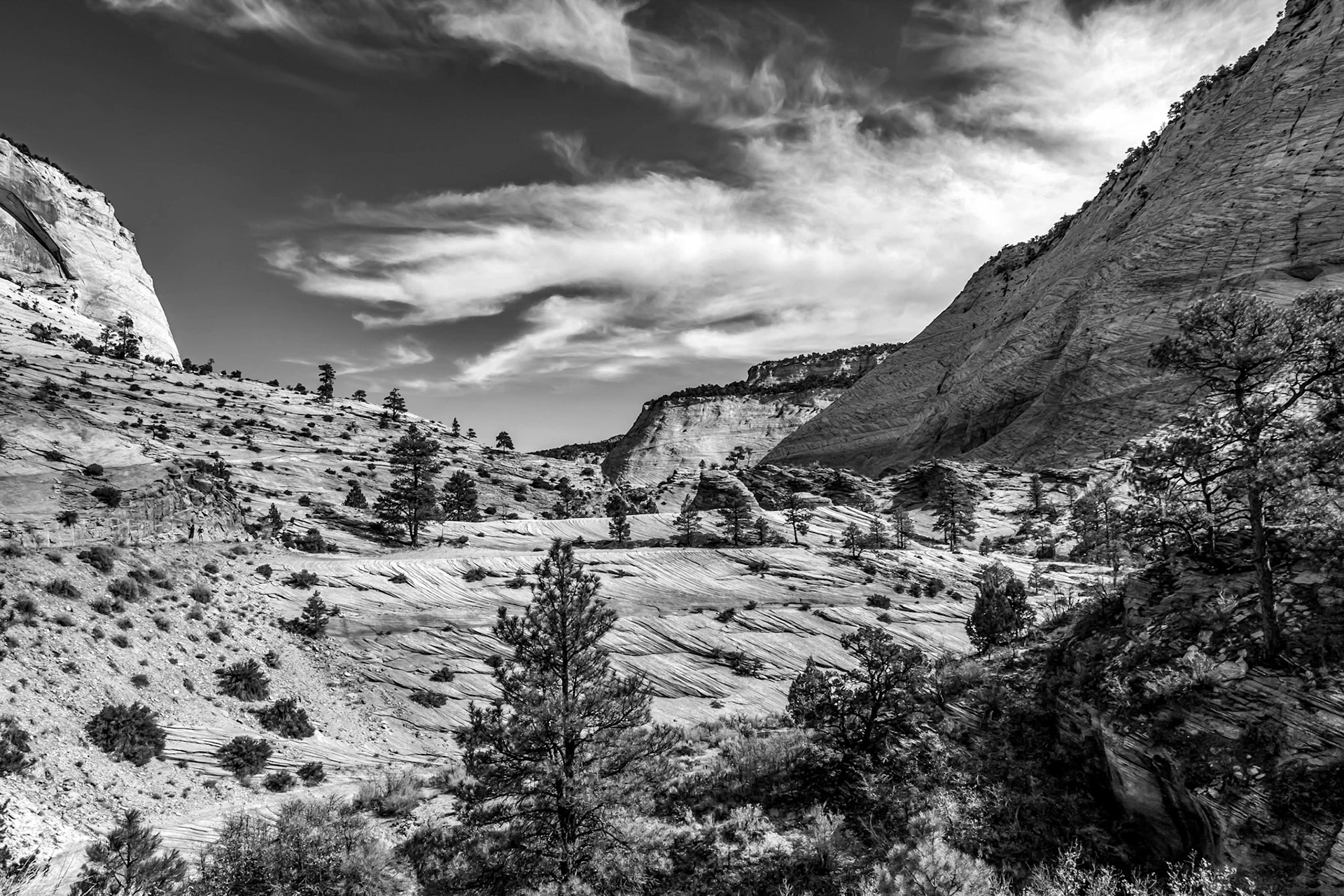 Ancient Escarpment in Zion National Park